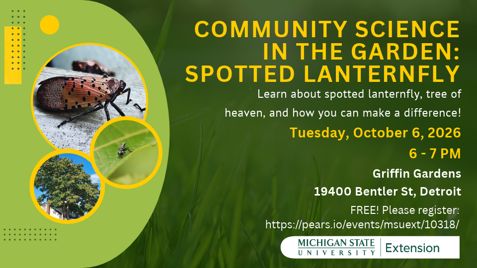Community Science in the Garden: Spotted Lanternfly