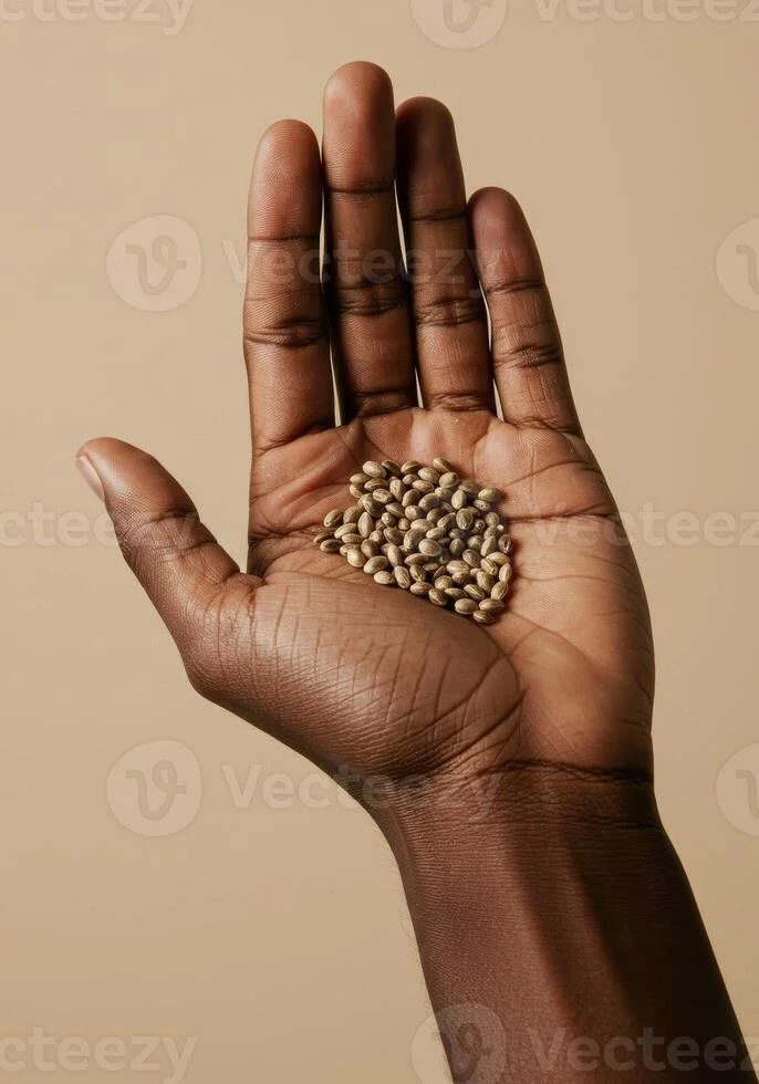 Free Seed Harvest