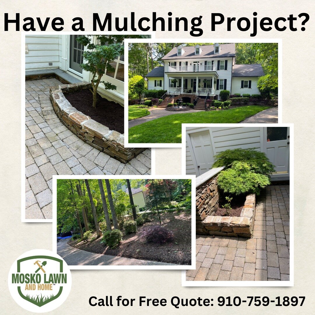 Have a Mulching Project?

Let us Help!!!

We recently installed 55 yards of mulch for a client giving them a fresh look to all their blooming garden beds for the spring. 

Call for your Free Quote: 910-759-1897

#moskolawnandhome #mulch #wakecounty #