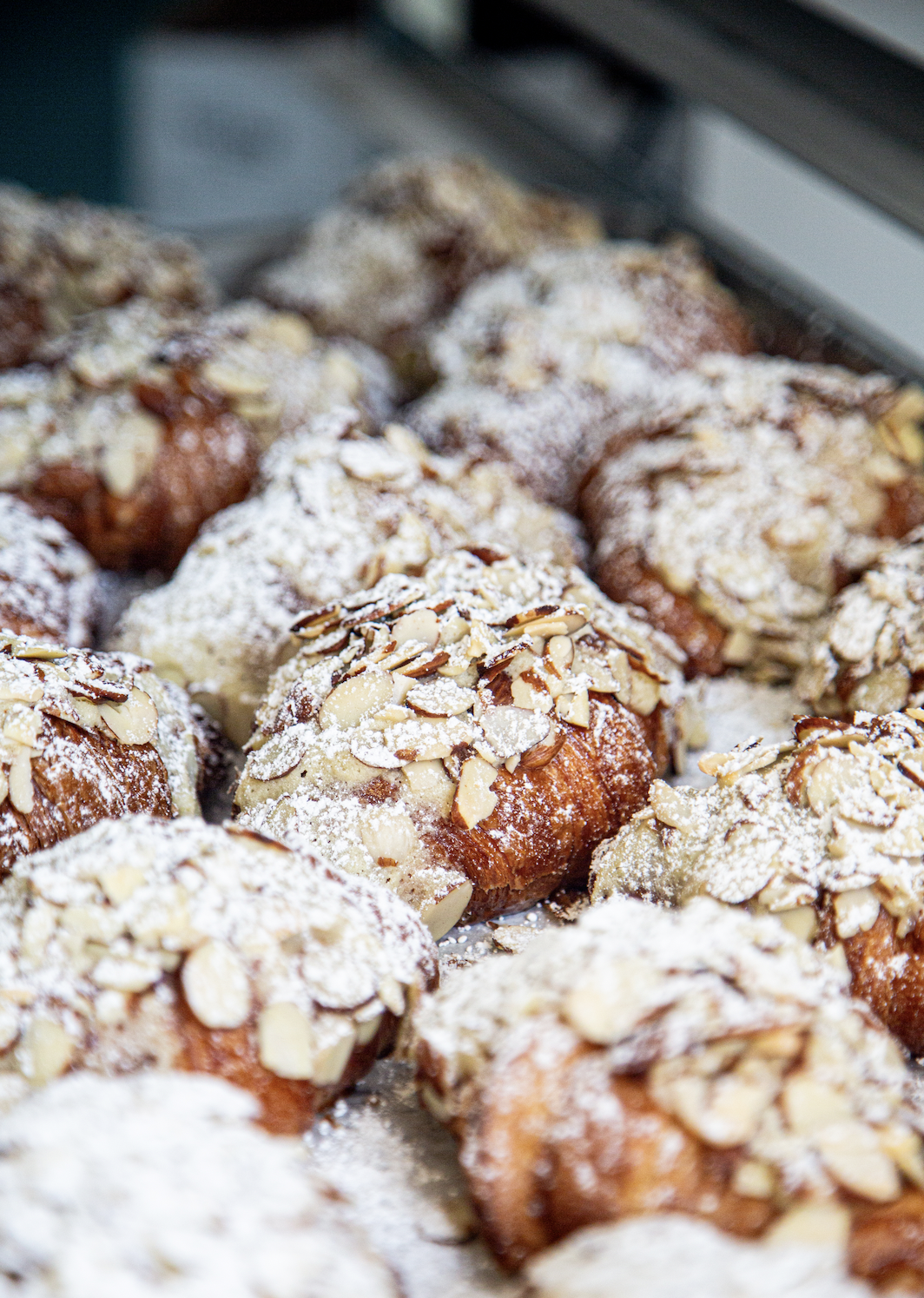 Screen Shot 2023-08-08 at 2.38.52 PM.png