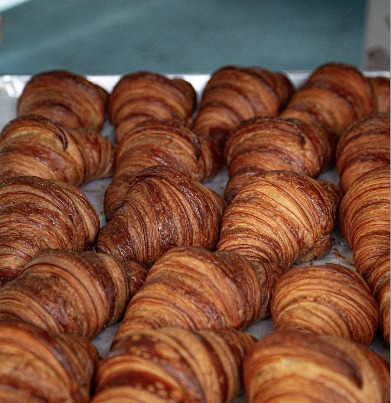 Screenshot 2024-10-04 at 12.32.40 PM.png