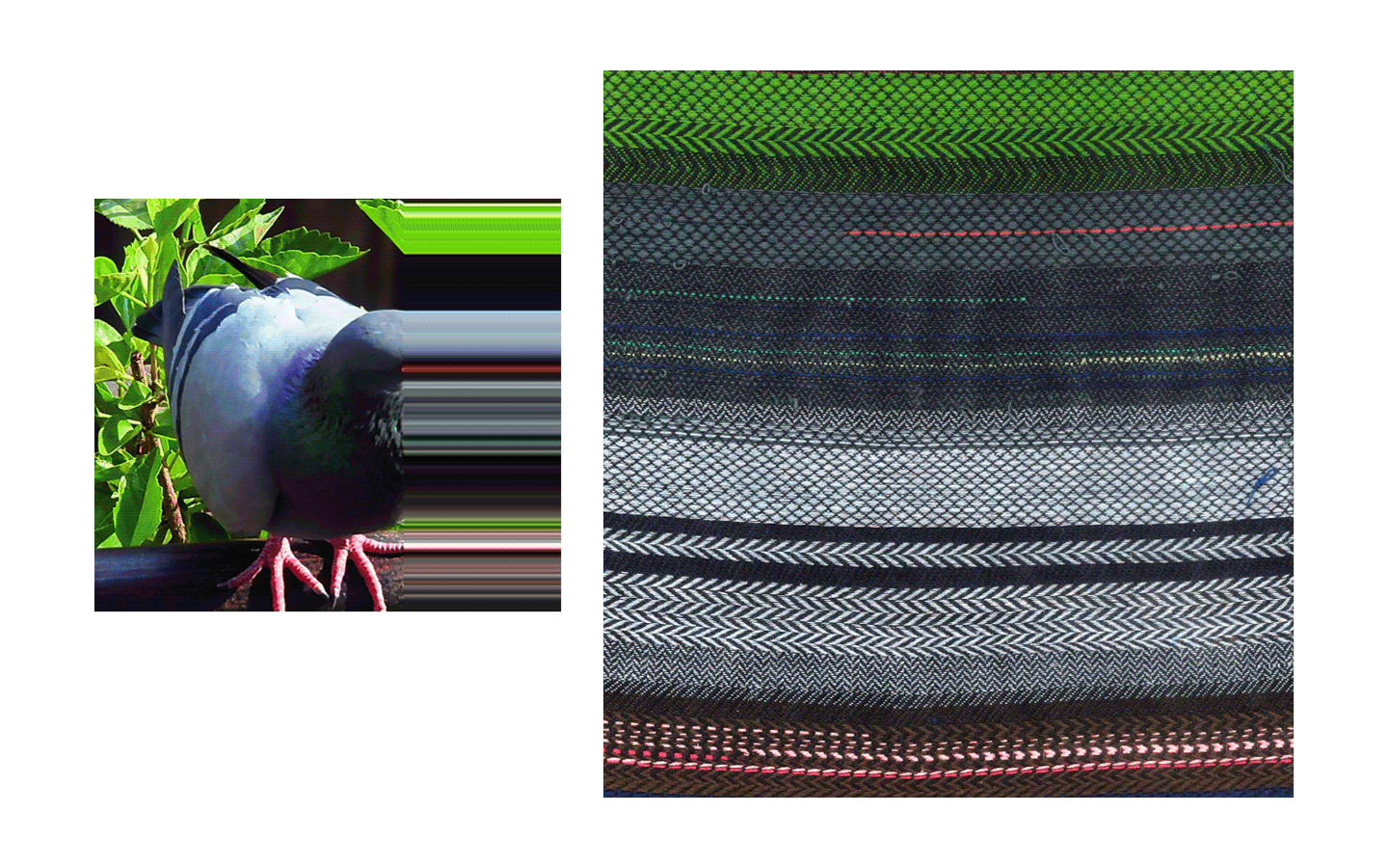 Weaving Pigeons Pixel Stretching in Textile — /anushkaag