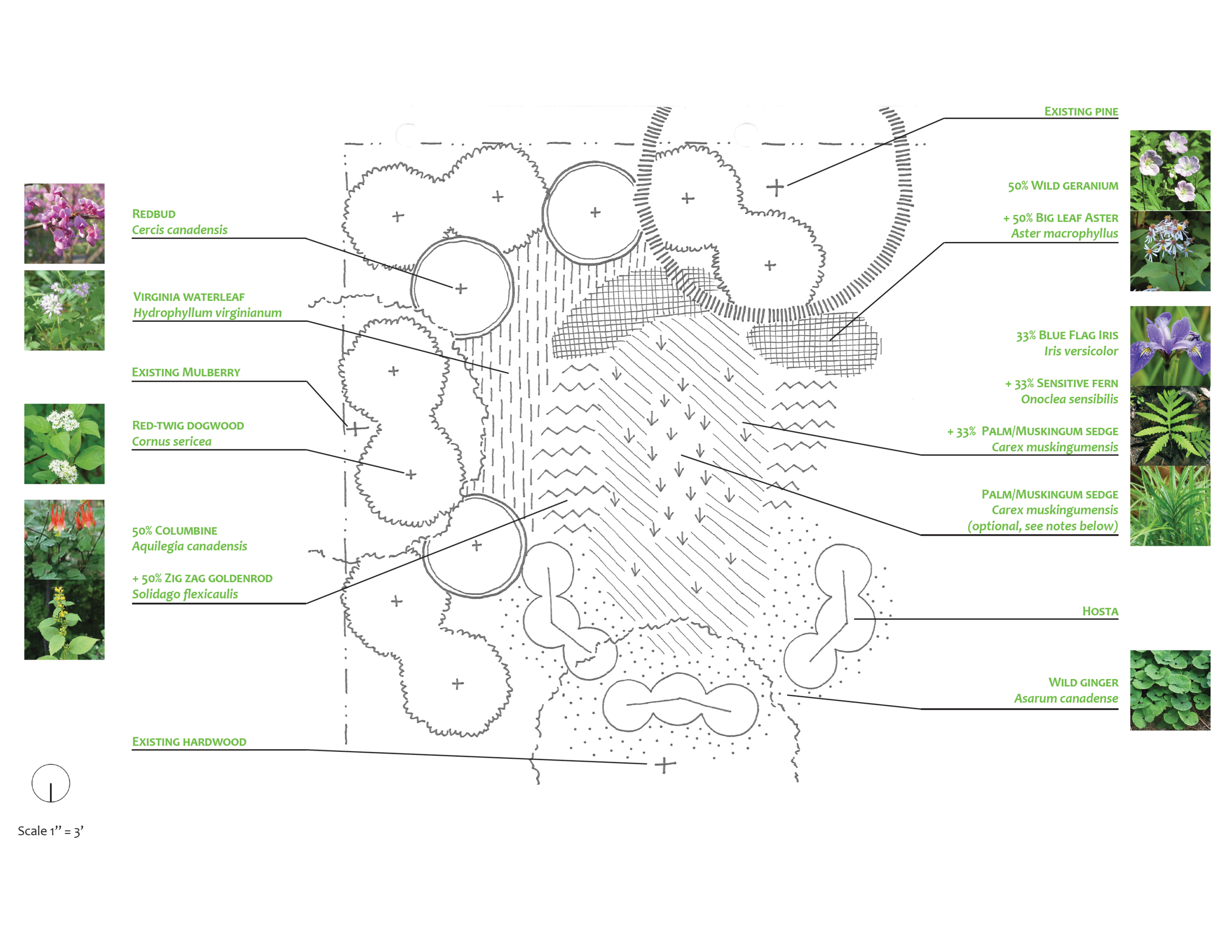 Plan_Wash Rain Garden_shade_crop.png