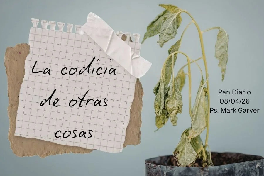 08 de Abril, 2026 - La codicia de otras cosas