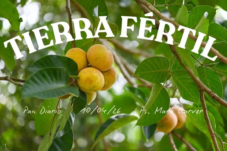 10 de Abril, 2026 - Tierra fértil