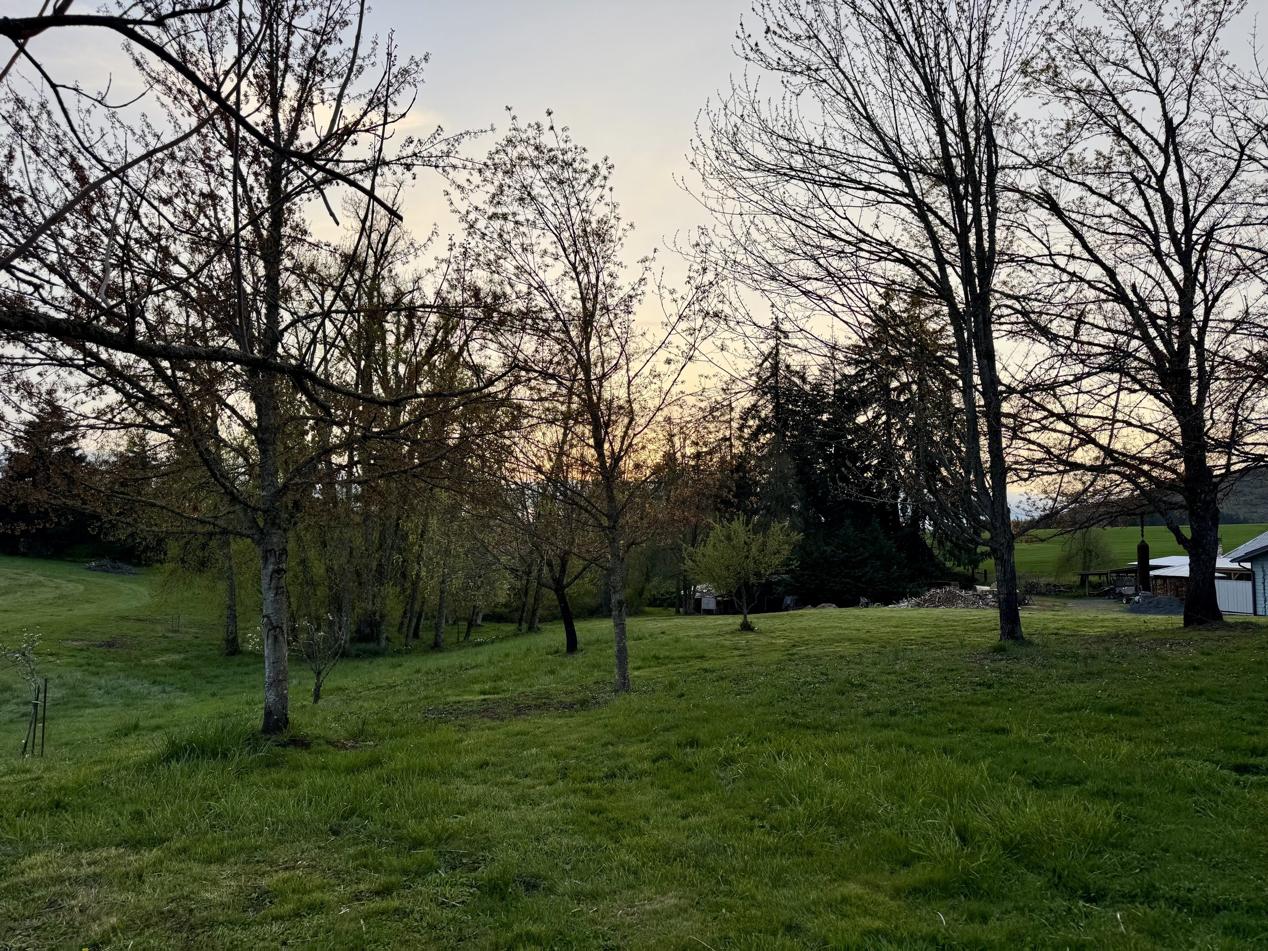 IMG_5977.jpeg