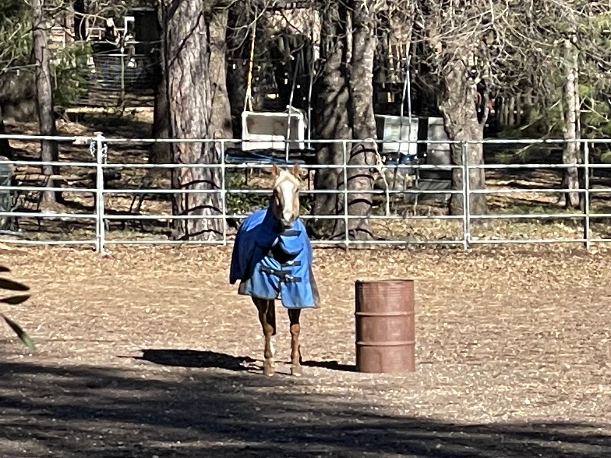 IMG_1743.jpeg