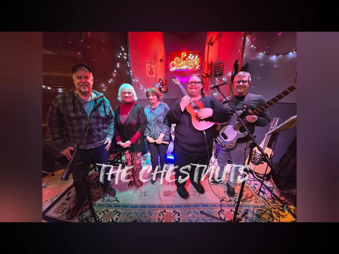 I joined the Chestnuts on keyboard a few months ago. We play mostly 70&rsquo;s hits, mainly open mics. So fun!