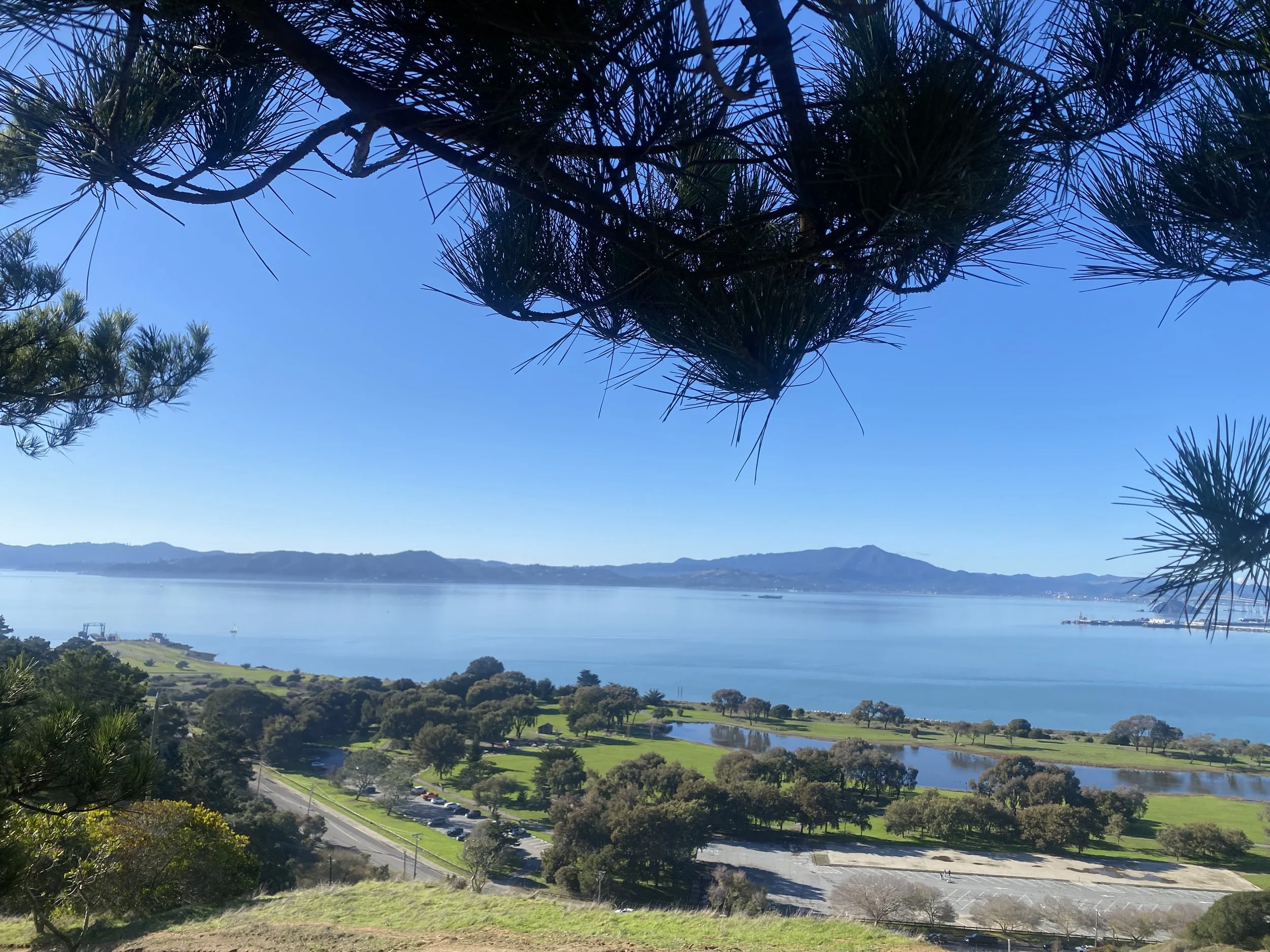 San Francisco Bay, on a cloudless blue sky day, above Miller Knox Park, with green trees and a lagoon