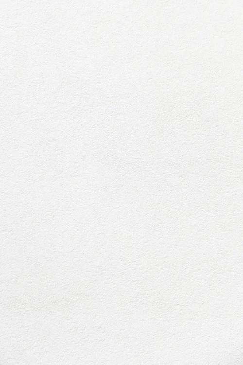 National Championship Sports World Series Championship