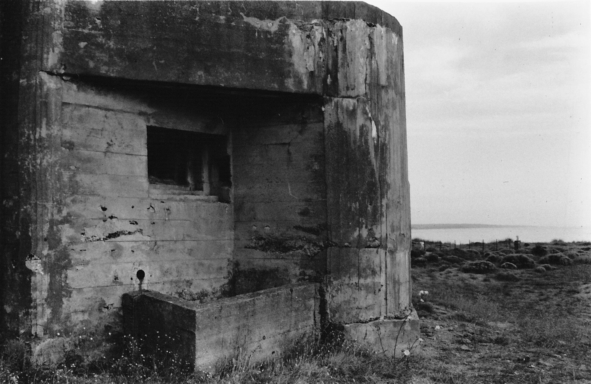 JPEG image-FEF4E88AD65D-1 3.jpeg