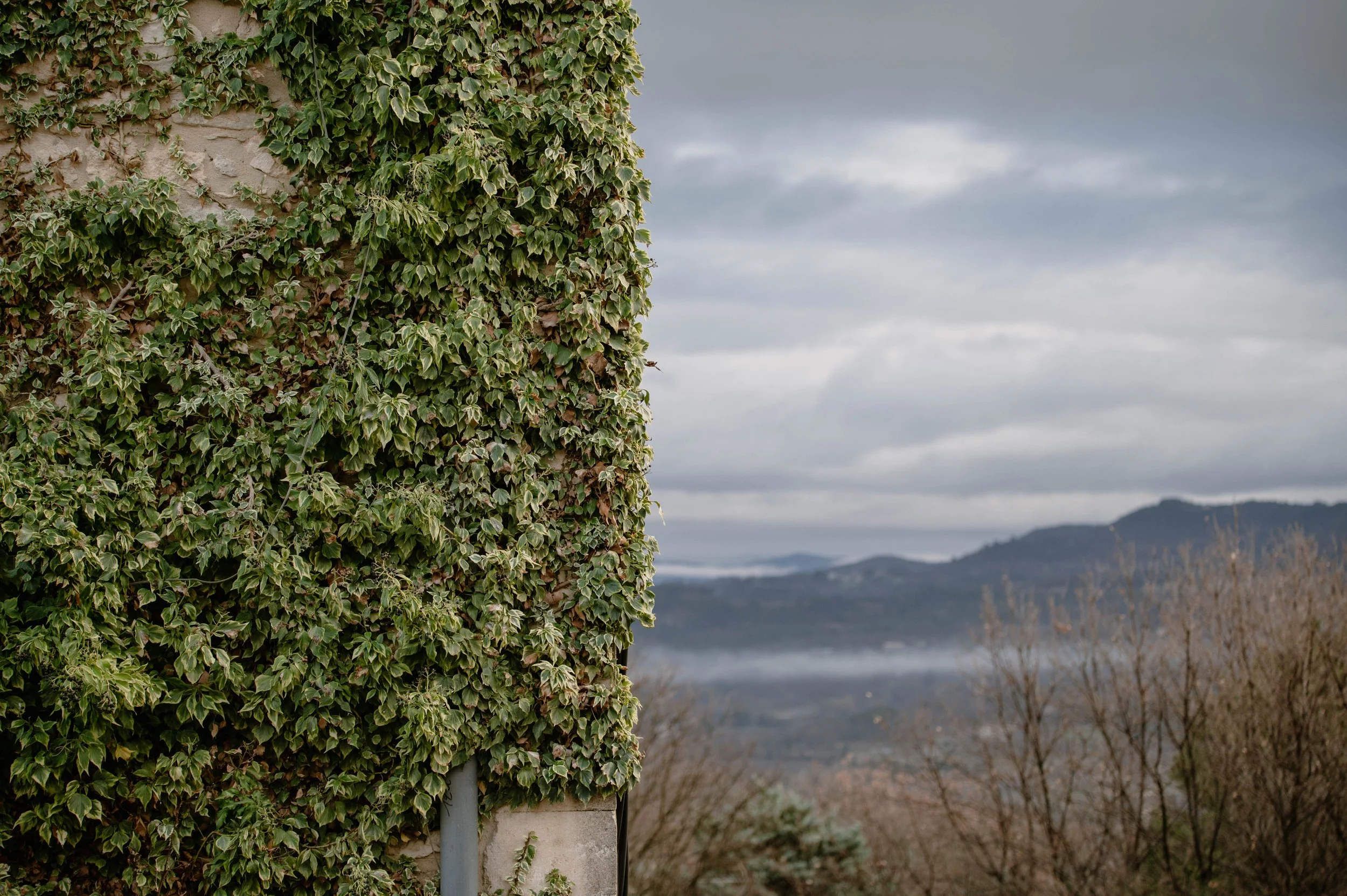 side by side green and mountains.jpg