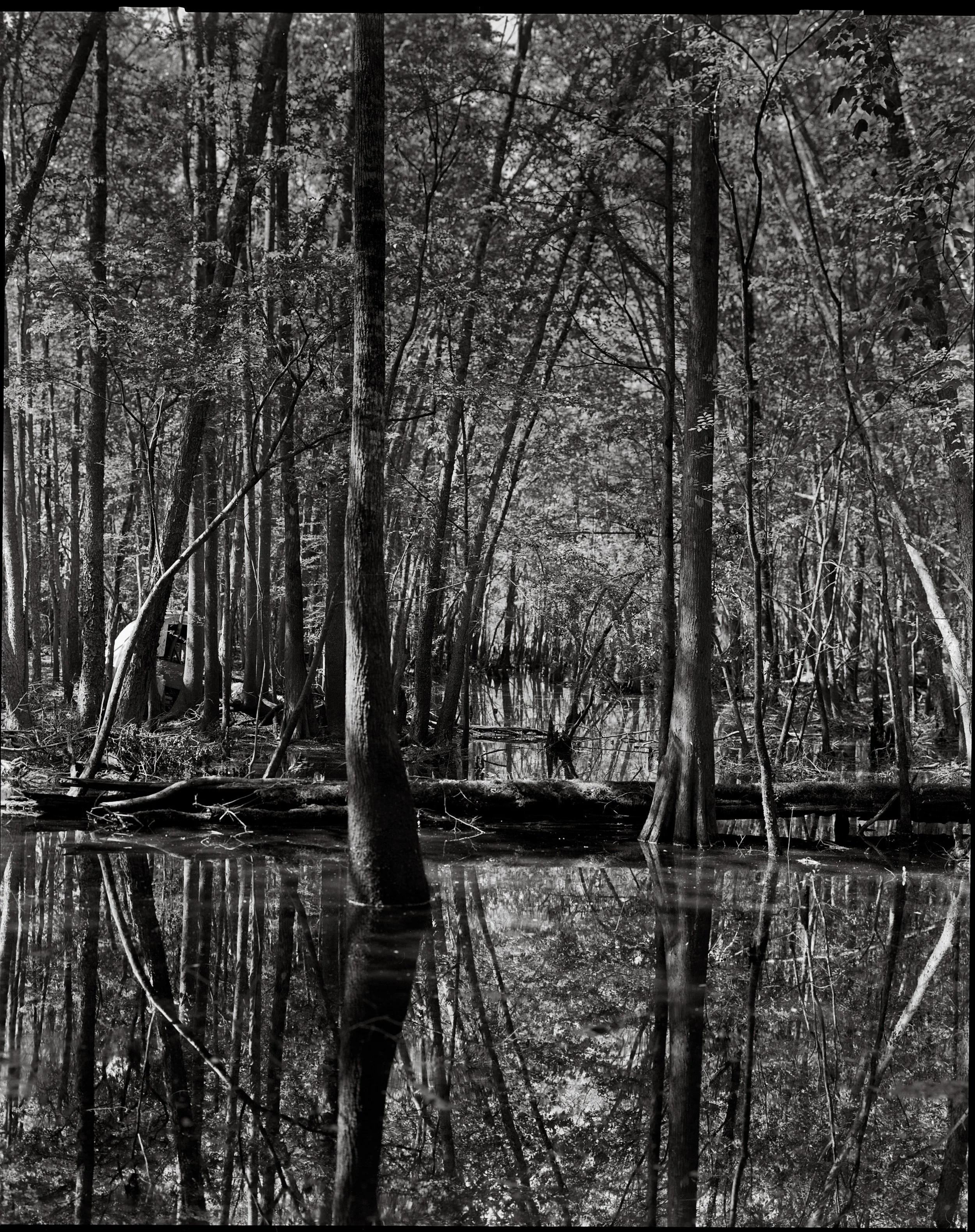 Crescent - Large Format Savannah hershography.com
