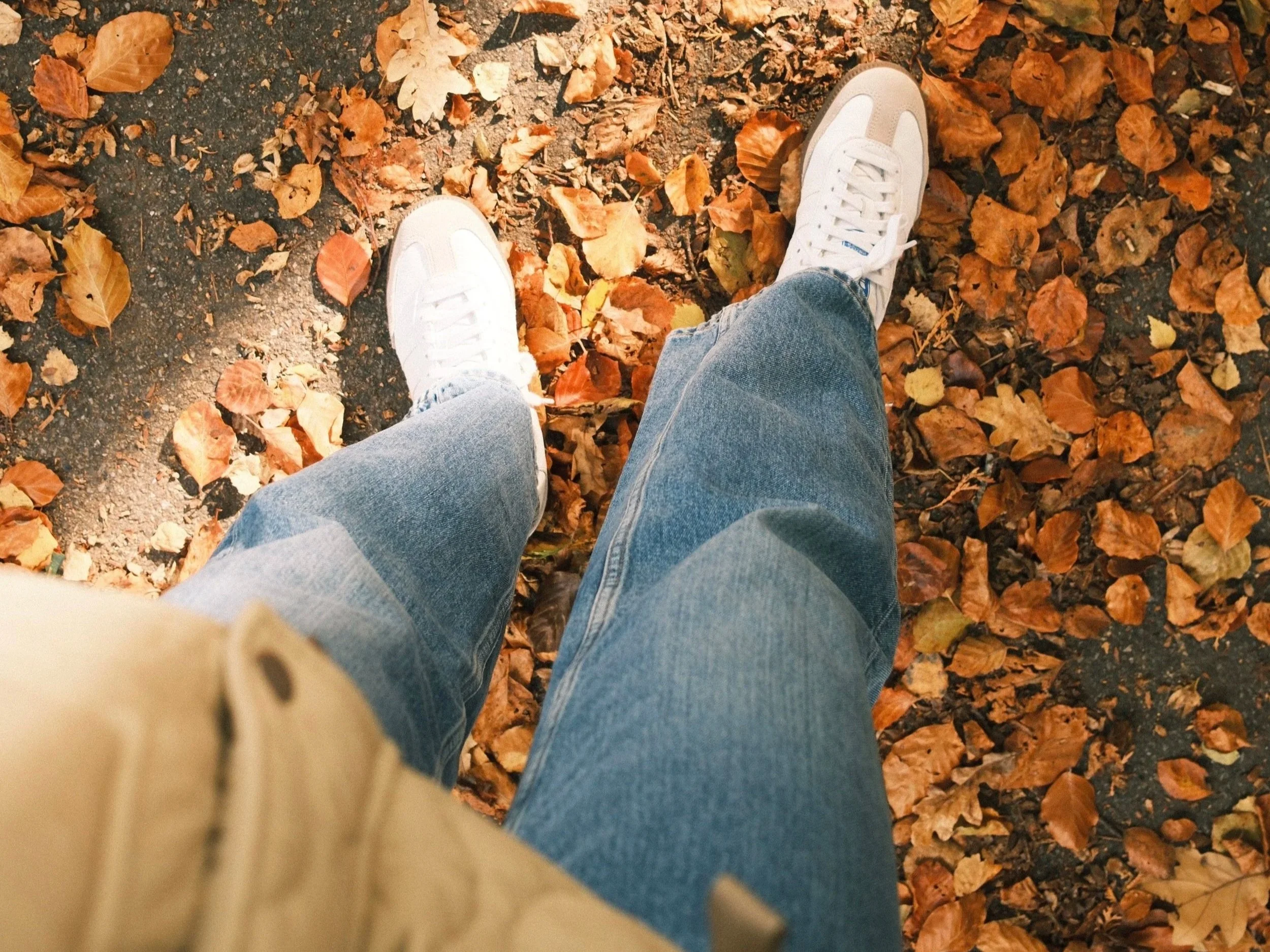 We Are All Just Walking Each Other Home: