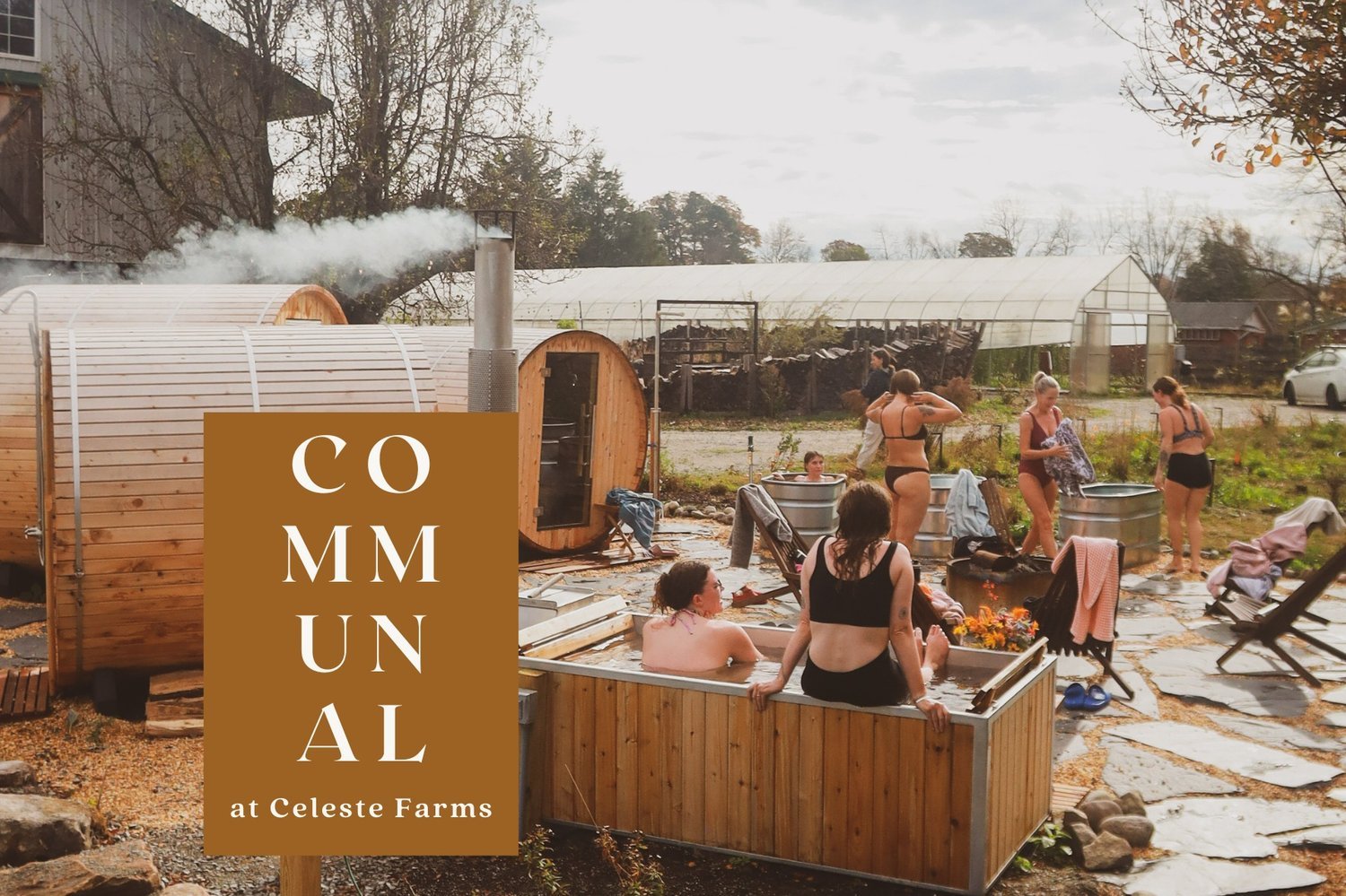 FIELD SPA: COMMUNAL