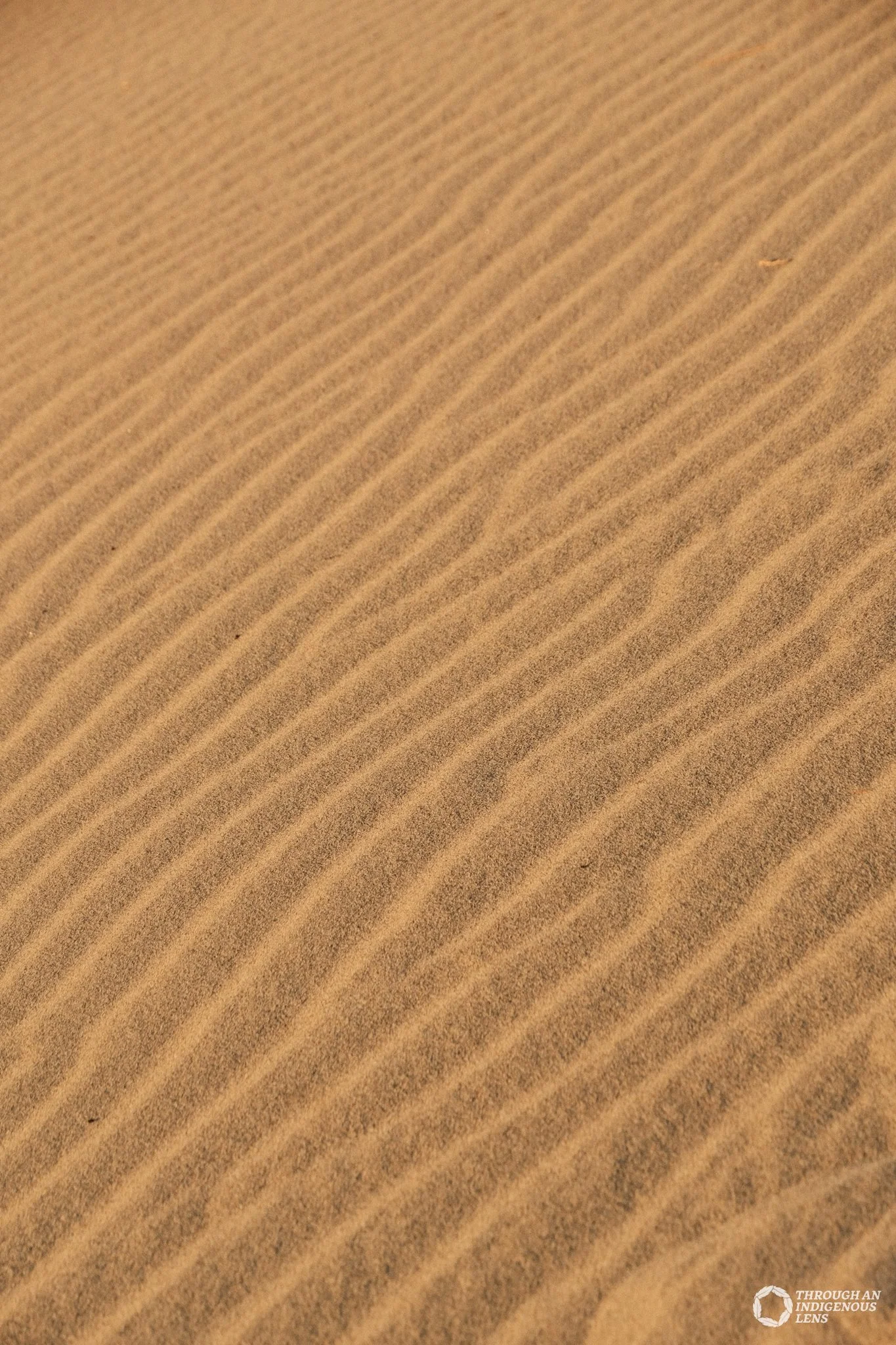 Untitled-2.jpg