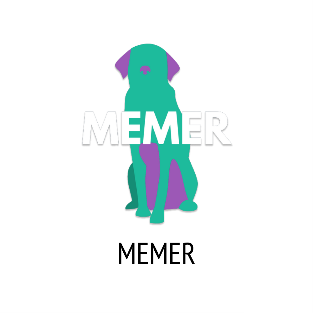 Project Two: MEMER