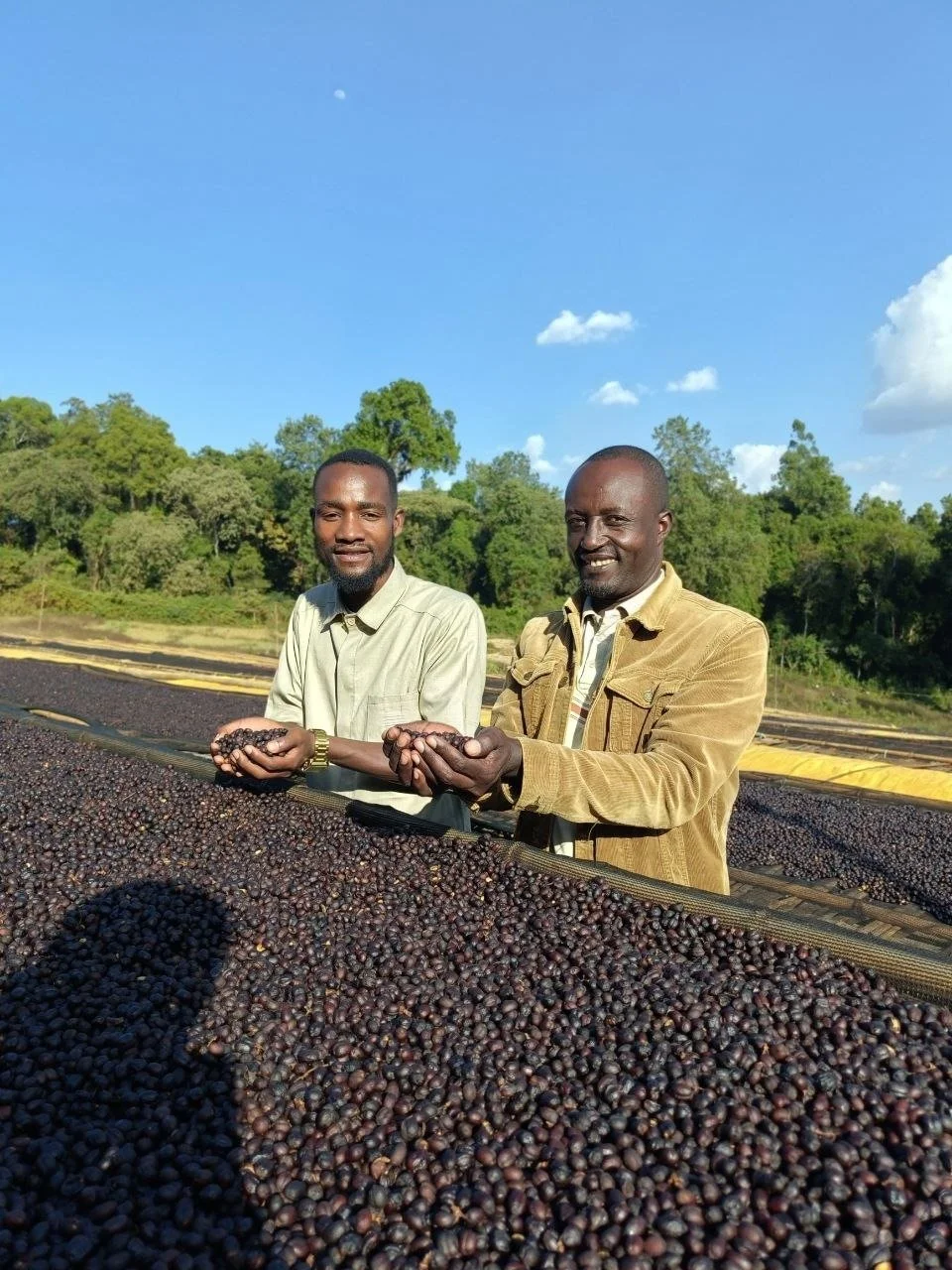 cherry-drying-at-washing-station.jpg