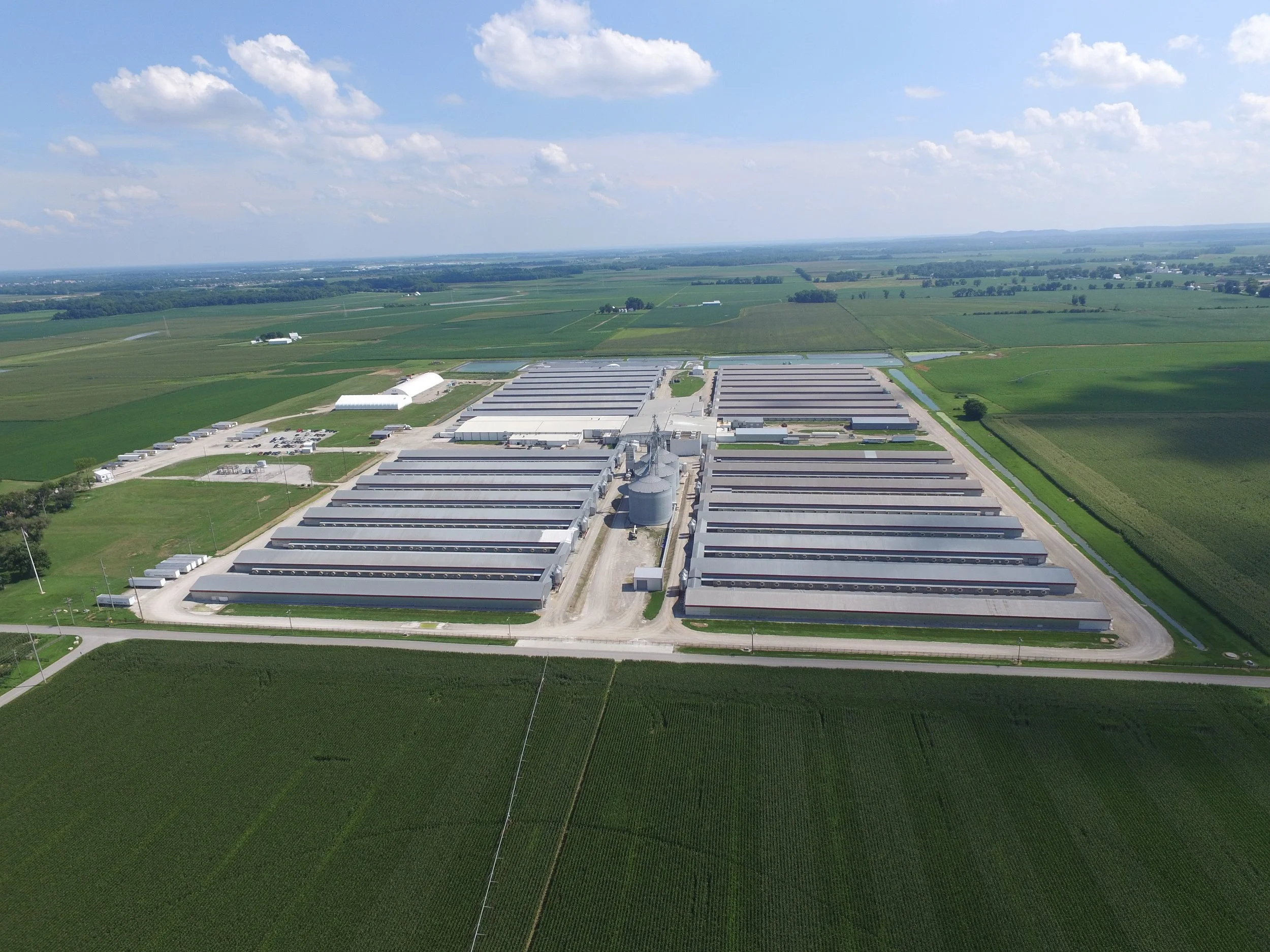 Rose Acre Farms Egg White Powder Company History — Rose Acre Farms - The Good Egg People