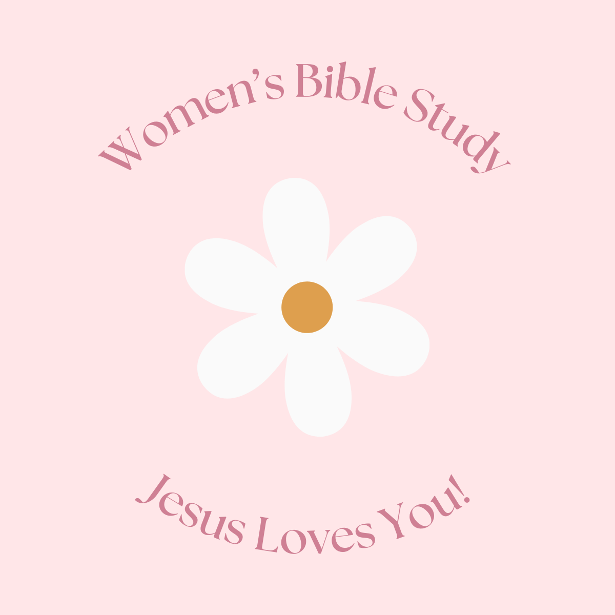 Women's Bible Study — St. Timothy Catholic Church