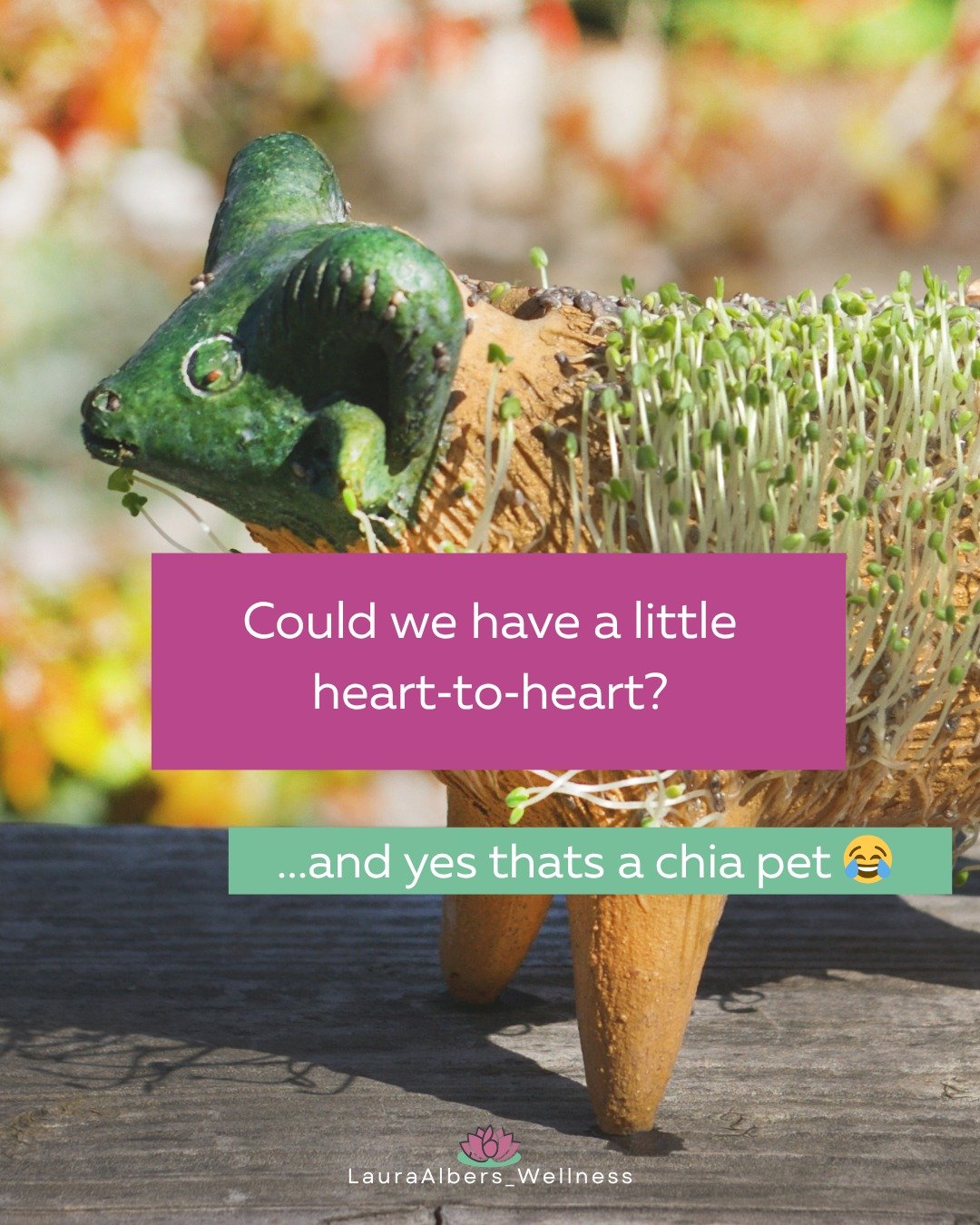 Let&rsquo;s have a mini heart-to-heart: you're planting a business, not growing a chia pet.

I get it&mdash;you want clients NOW, inbox DMs saying &ldquo;How do I work with you??&rdquo;

But the reality?: you can't microwave a maple tree or manifest 
