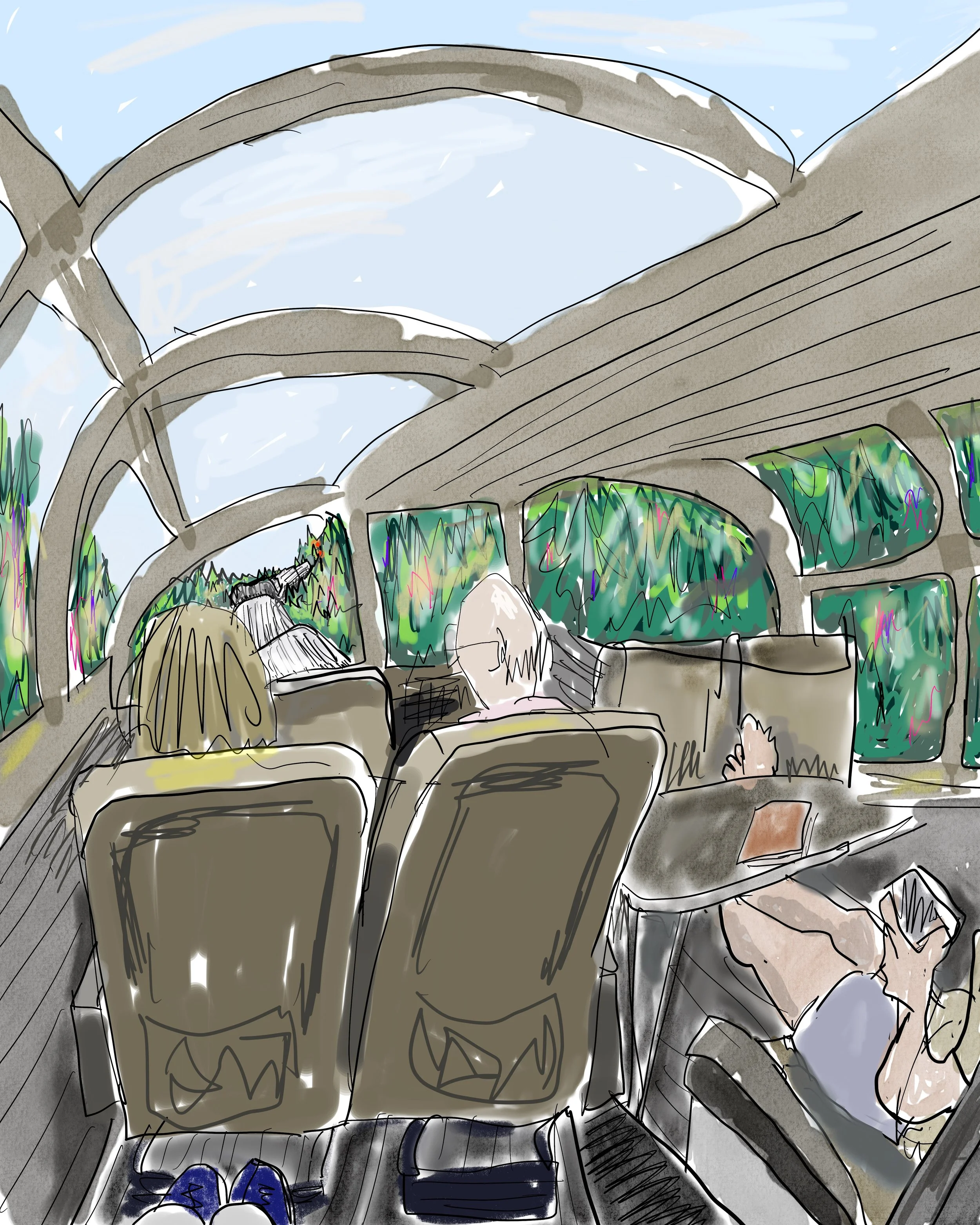 Dome car drawing_.jpg