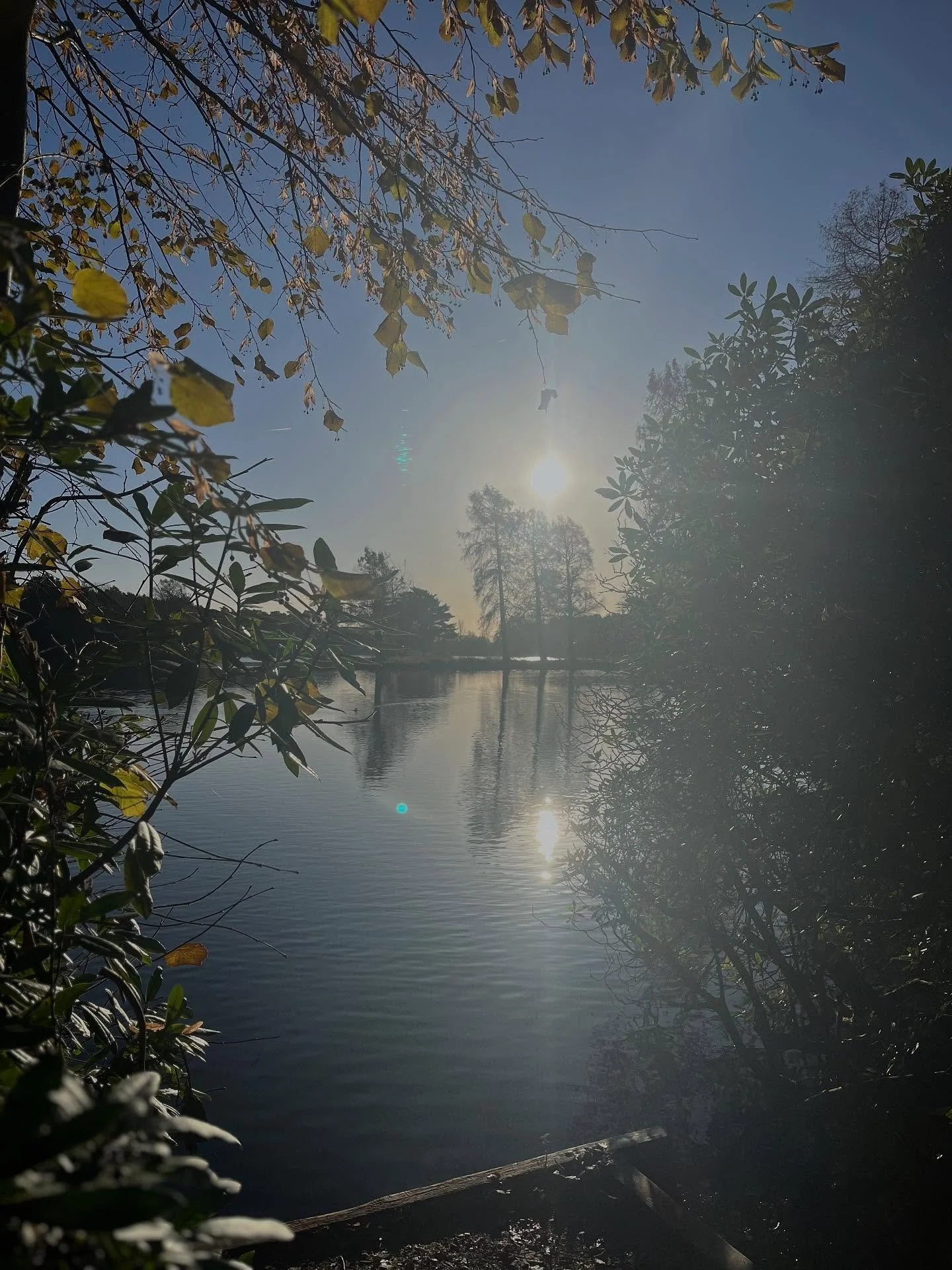 Happy Sunday. 

Haven&rsquo;t been on the bike in ages it feels like - I&rsquo;ve been busy behind screens, microphones, and books. 

The woods have been closed off for clearing. 

The path I needed to take is hard, up hill, not walked by others, mud
