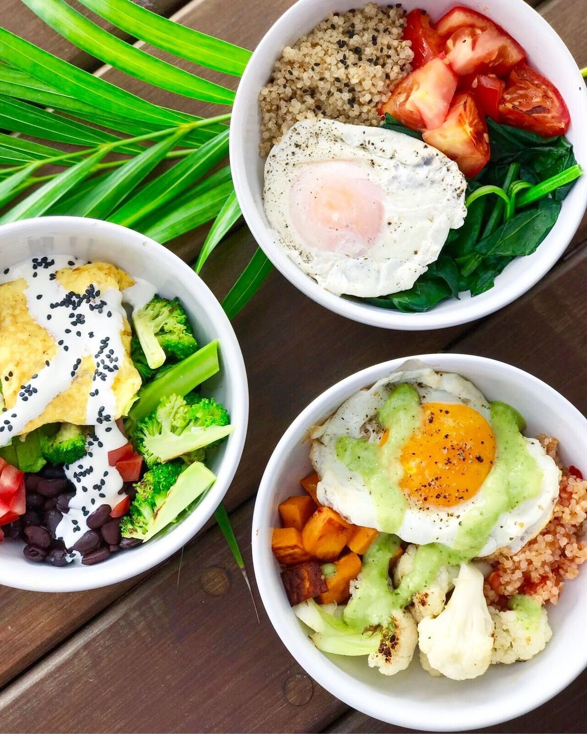 food-protein-bowl.jpeg