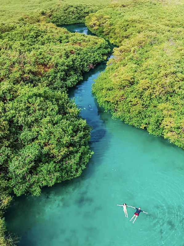 Screenshot 2026-03-10 at 10.47.37 a.m..png