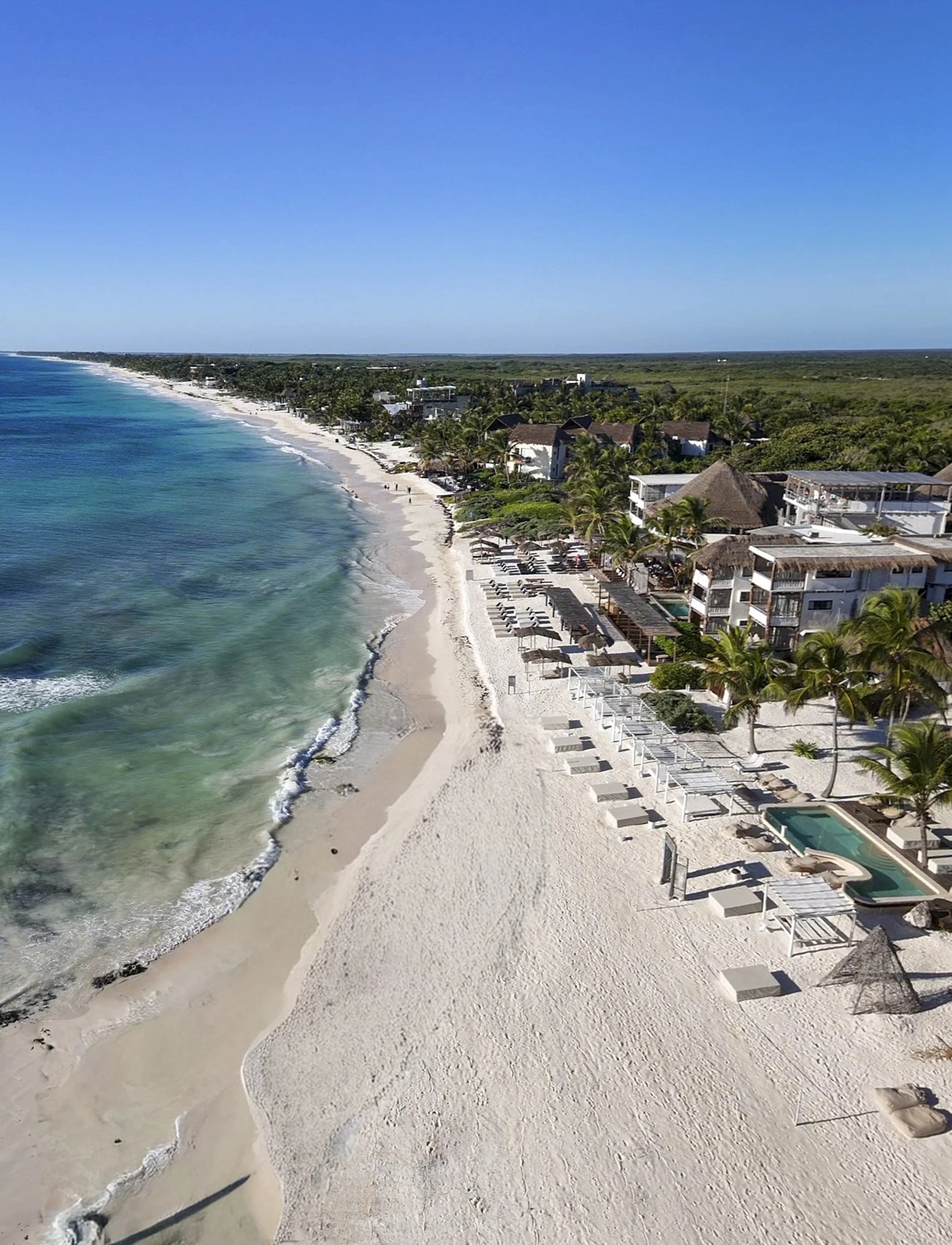 Amansala Enero 2026-68.jpg