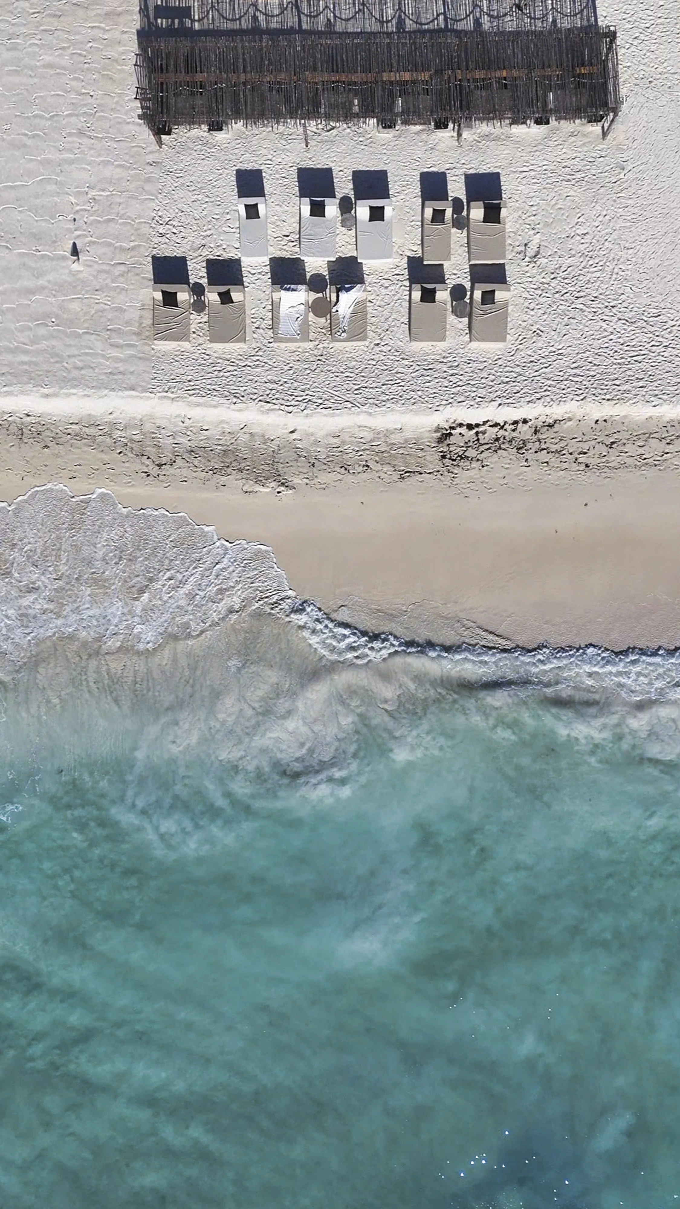 Amansala Enero 2026-64.jpg