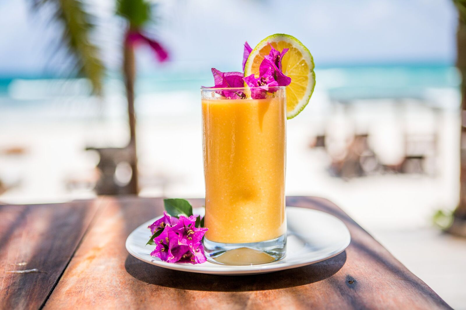 food-mango-juice-beach-club-drink.png
