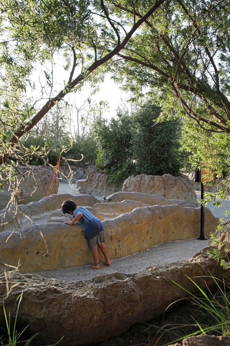 Pioneer Park by LandscapeDE Photo by Robin Hill (c) lo res (5).jpg