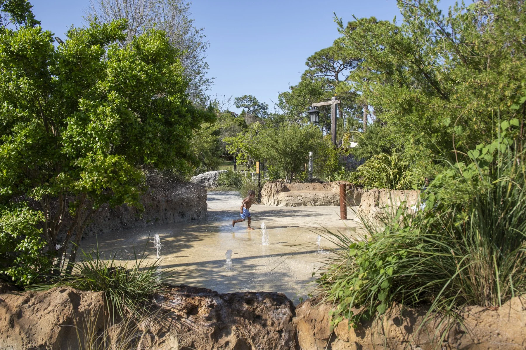 Pioneer Park by LandscapeDE Photo by Robin Hill (c) lo res (35).jpg