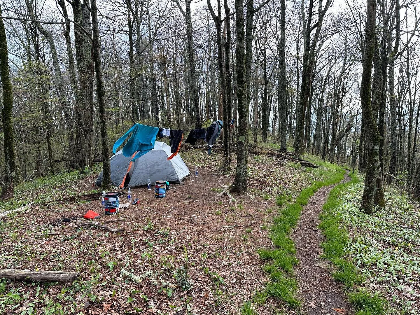 Hiked out of Hot Springs
We hiked two slackpacks, one from Garenflo Gap into town, and the other from Allen Gap back to town, so today we headed north out of Allen Gap. 
Our first stop up the trail was the Southern Cookie Lady's cabin at Log Cabin Ro