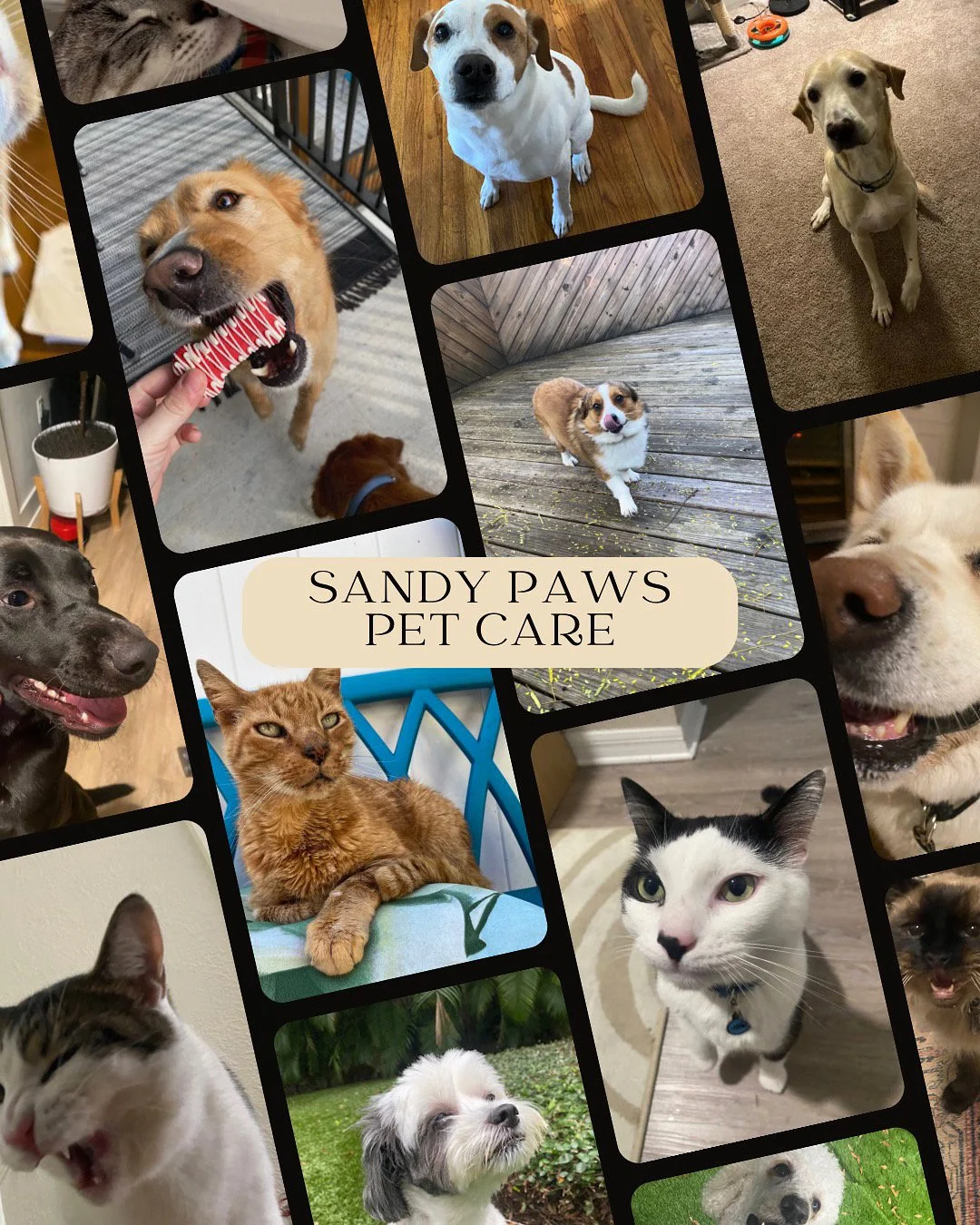 Sandy Paws Pet Care