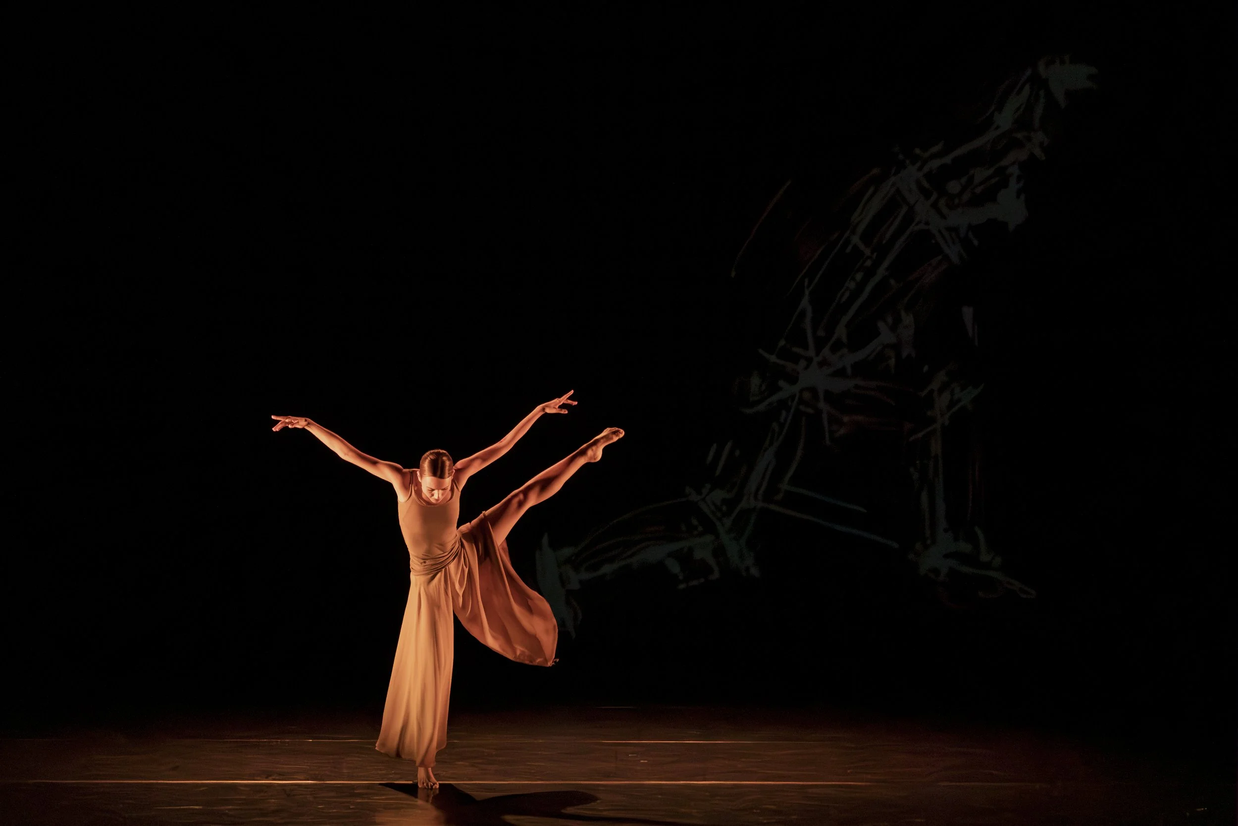 BLIND OPTICS - DARSHAN SINGH BULLER