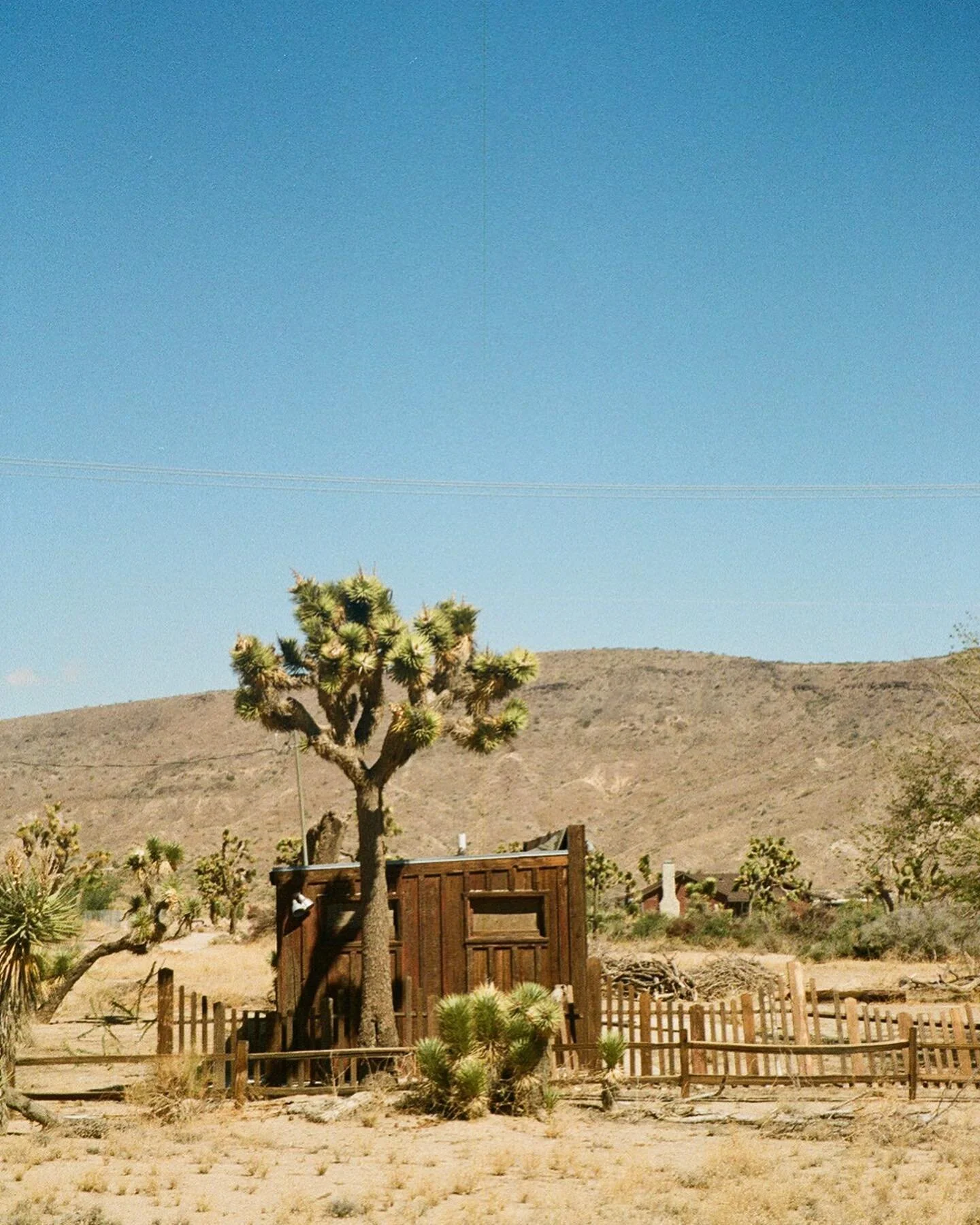 Joshua Tree, Oct. &lsquo;22.
