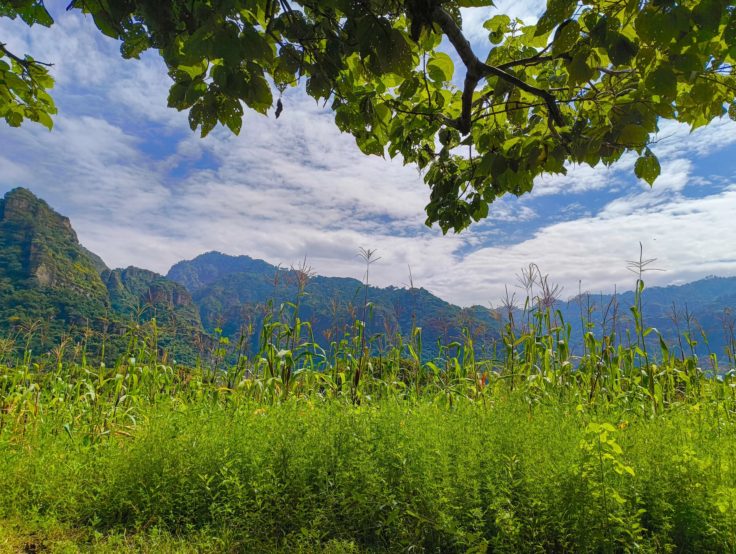 This seasonal retreat connects food lovers to the heart of the land.