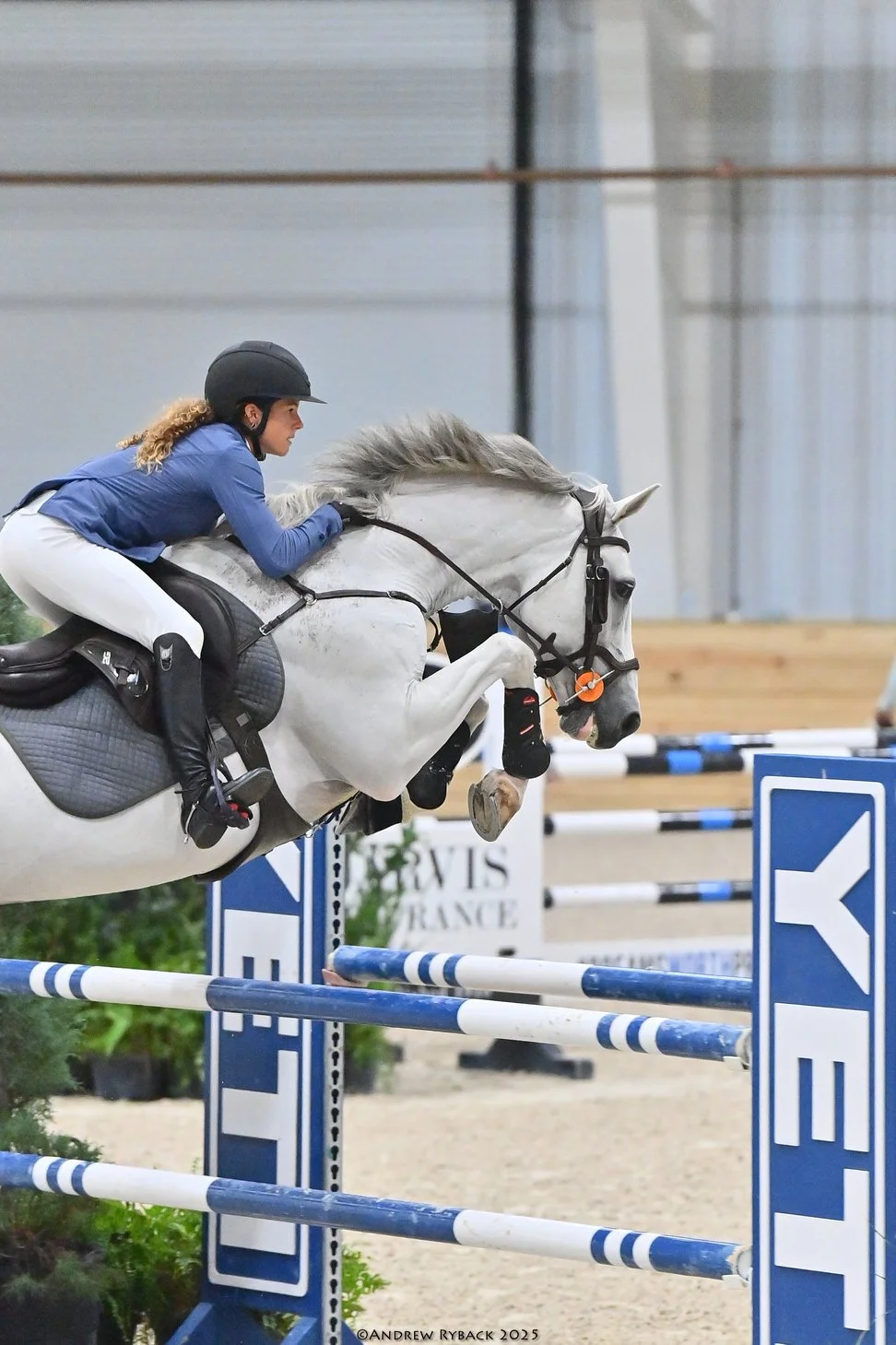 Introducing Holy Blue  