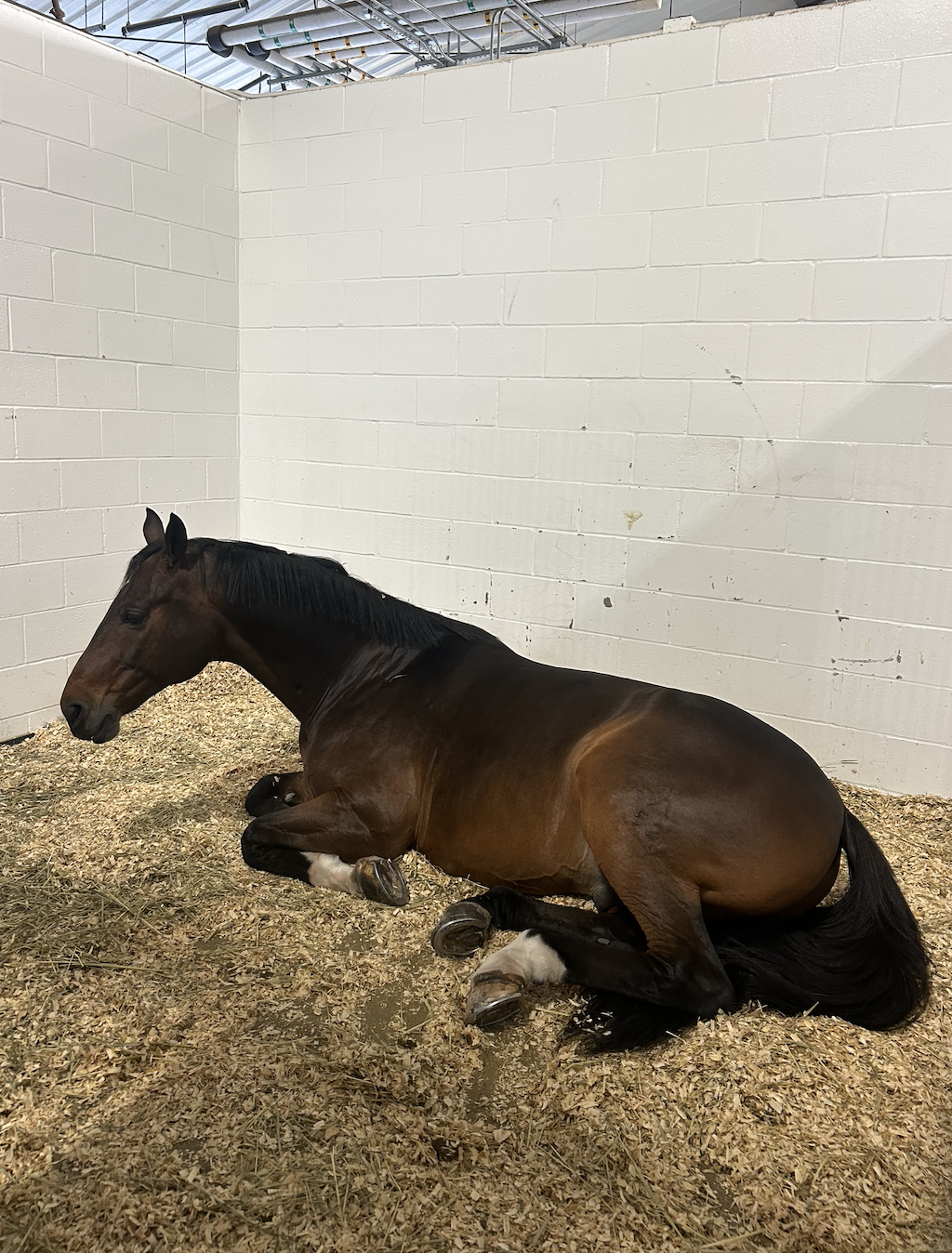 The calm amidst the storm 