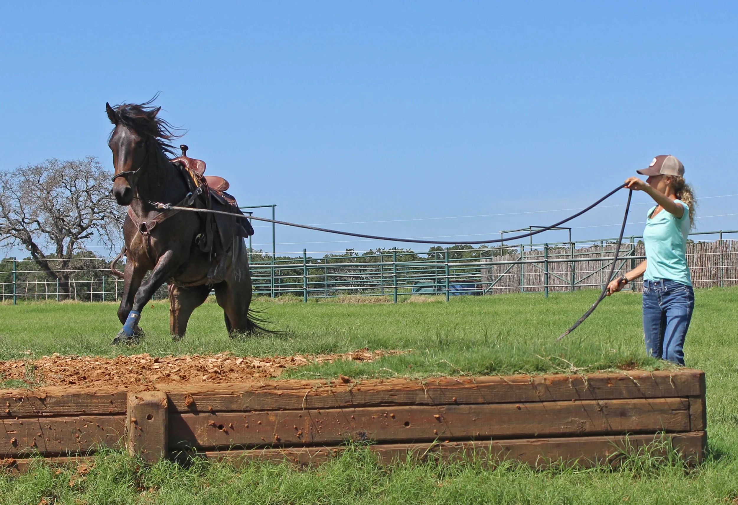 The gift of horsemanship I wouldn’t have gained from the H/J world 