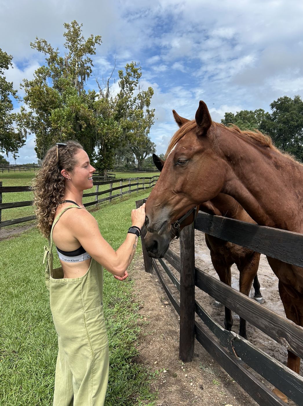 I bought two yearling’s in 2025.. here’s why 