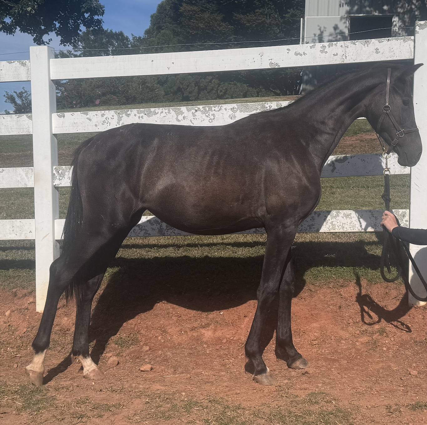 Screenshot 2025-12-22 at 2.52.12 PM.png