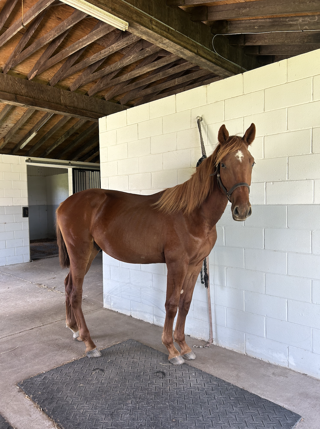 Screenshot 2025-12-22 at 2.42.46 PM.png