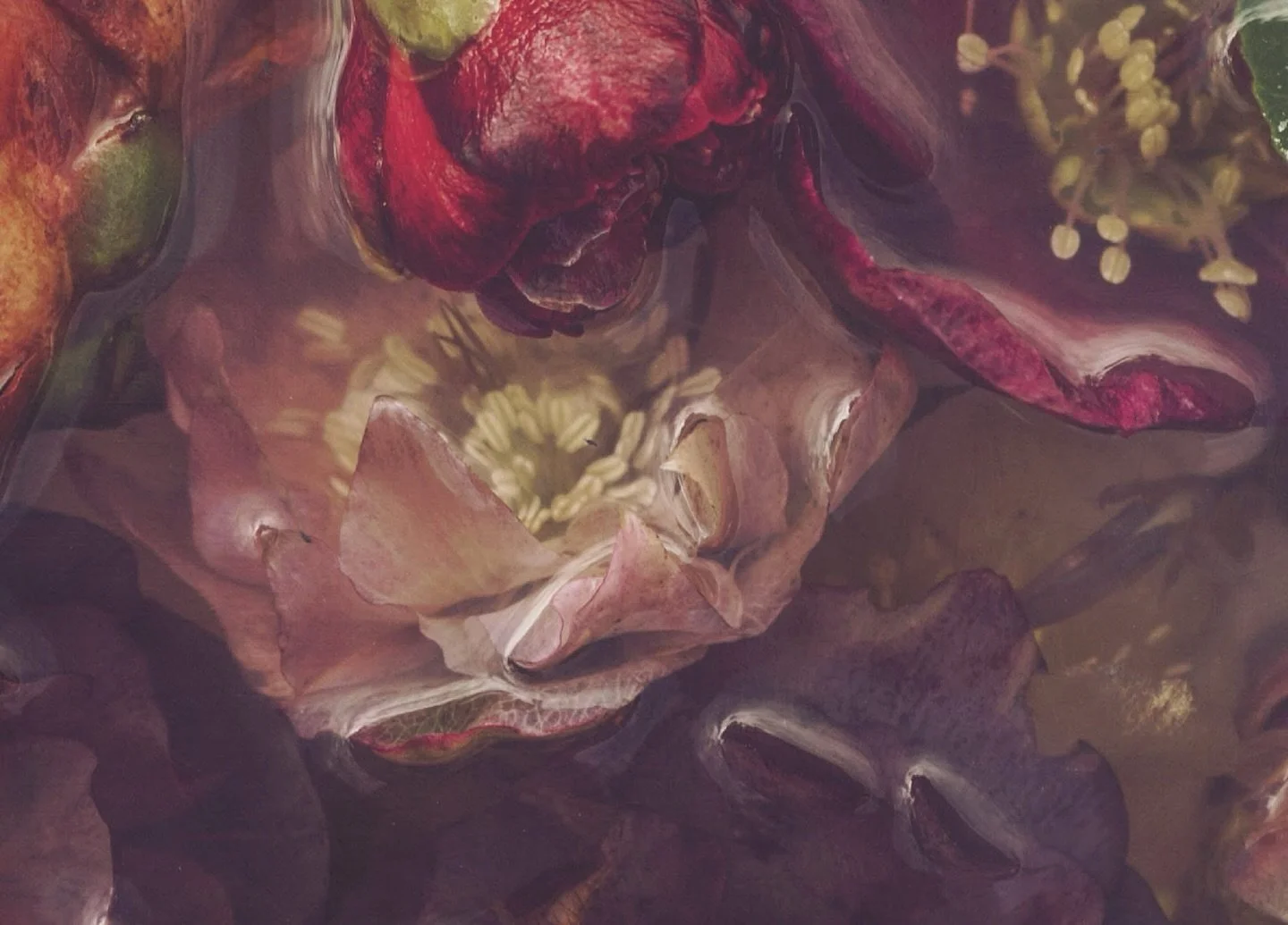Submerged in Decay #3 &ndash; Detail 

I love how petals surrender to water. 
Their edges soften, their colours deepen or fade, and what was once sharp becomes fluid. 

The longer they rest, the more translucent they become, as if revealing something