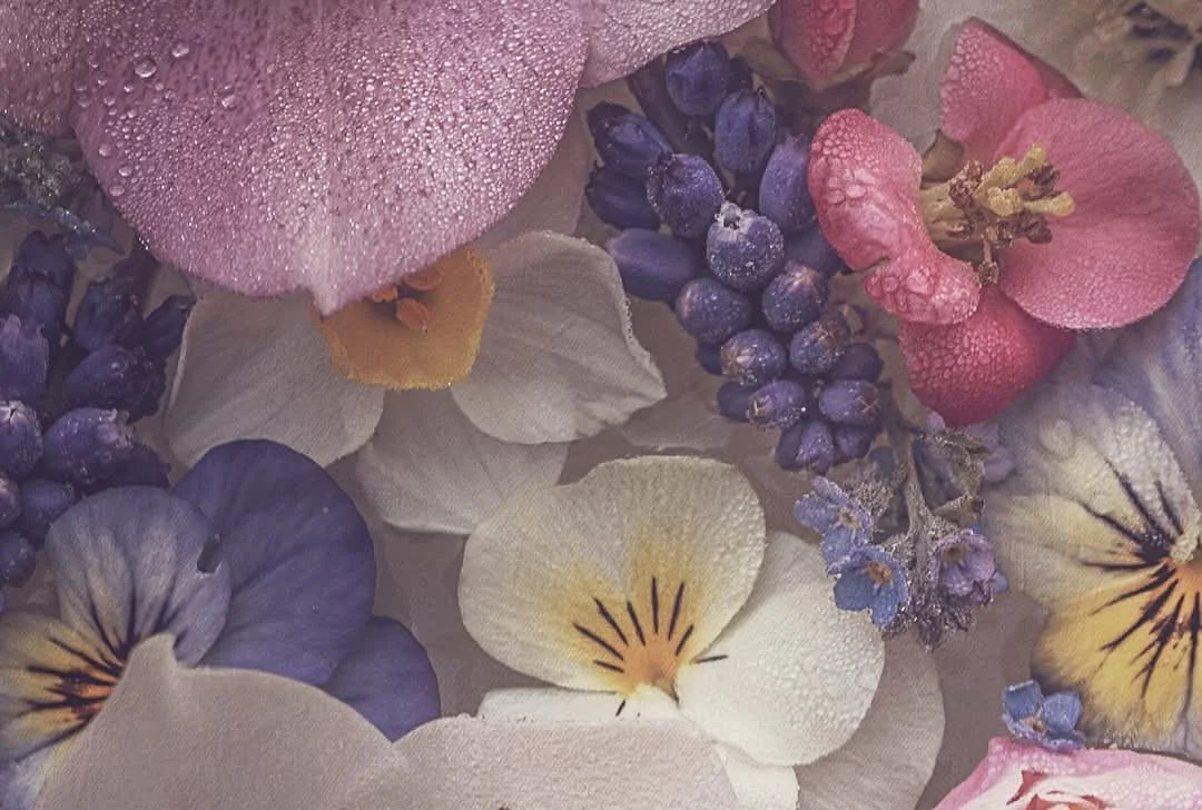 💯 zoom

Fairy dust 🌸

Love the tiny water drops💕
#fineart #itsallinthedetail #floral #spring