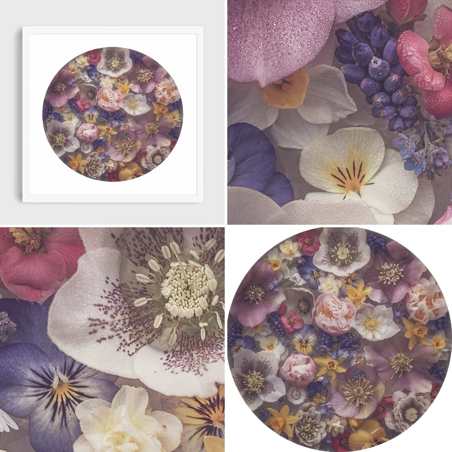 ✨ Fairy Dust ✨
A swirl of flowers, soft colors, and a little bit of magic. This one feels like spring dreams bottled up in a circle 🌸💫

Hope it brings a smile to your day 💕

#FairyDust #FloralVibes #BloomMagic #FlowerLove #ArtThatFeelsGood #WallAr