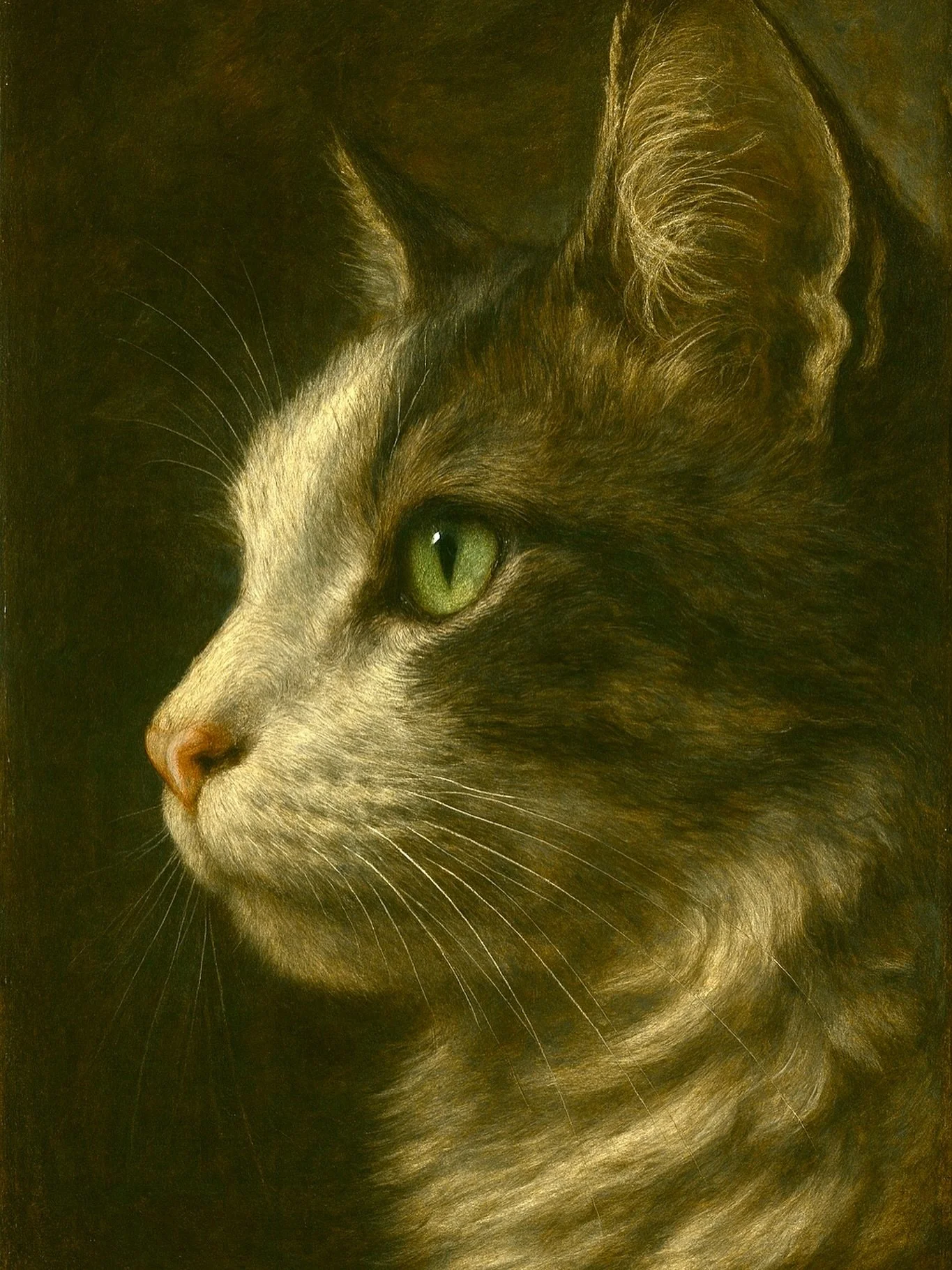 This time of year always makes me pause and say thank you ❤️🐾

For the ones we&rsquo;ve loved and miss, who still feel close even when they&rsquo;re gone.

This is Spokie &mdash; or &ldquo;little ghost.&rdquo; She came into our lives a couple of yea