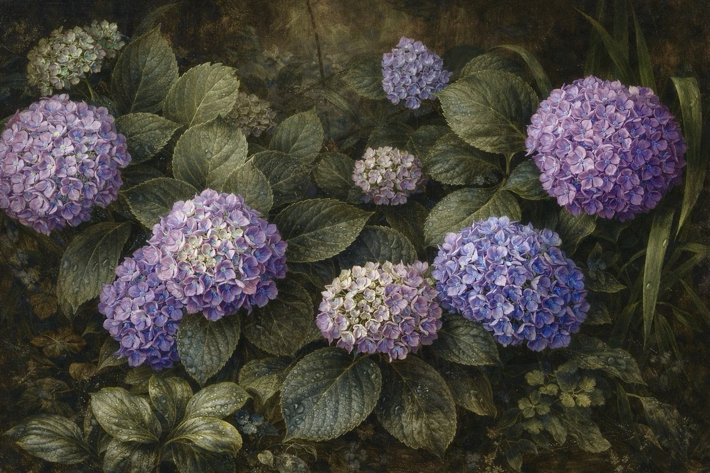 &ldquo;I prayed for change, so I changed my mind.&rdquo; Rumi #fineartphotography #hydrangealove #nzartist #dowhatyoulovelovewhatyoudo